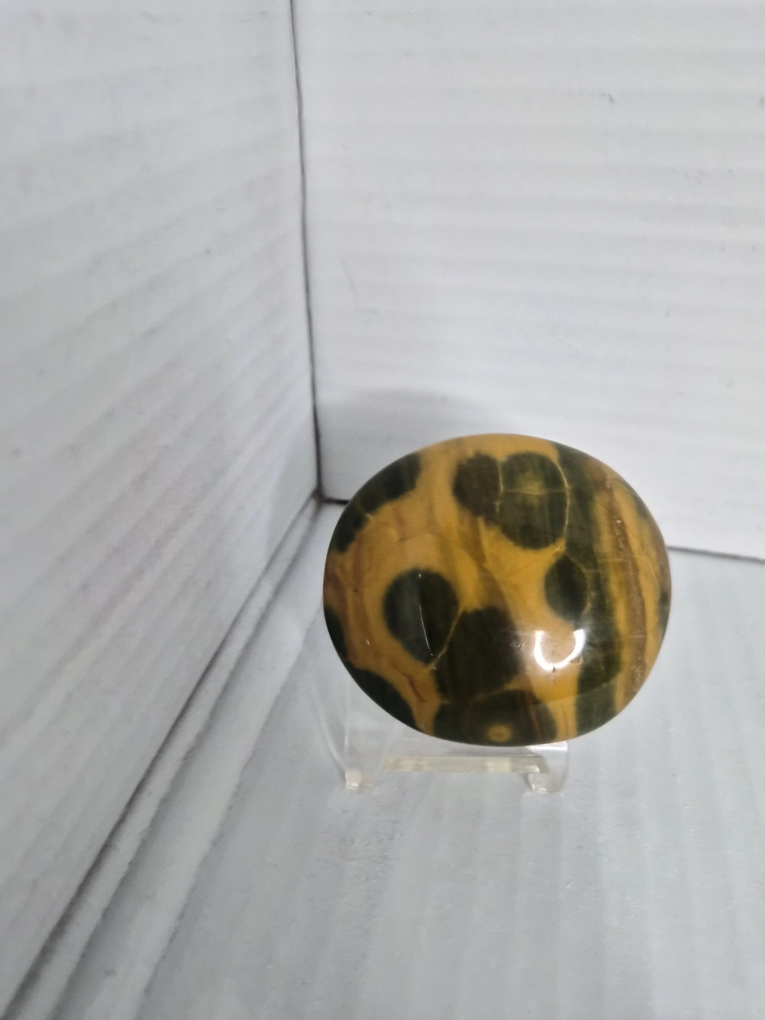 Kabamby Ocean Jasper 65mm x 59mm