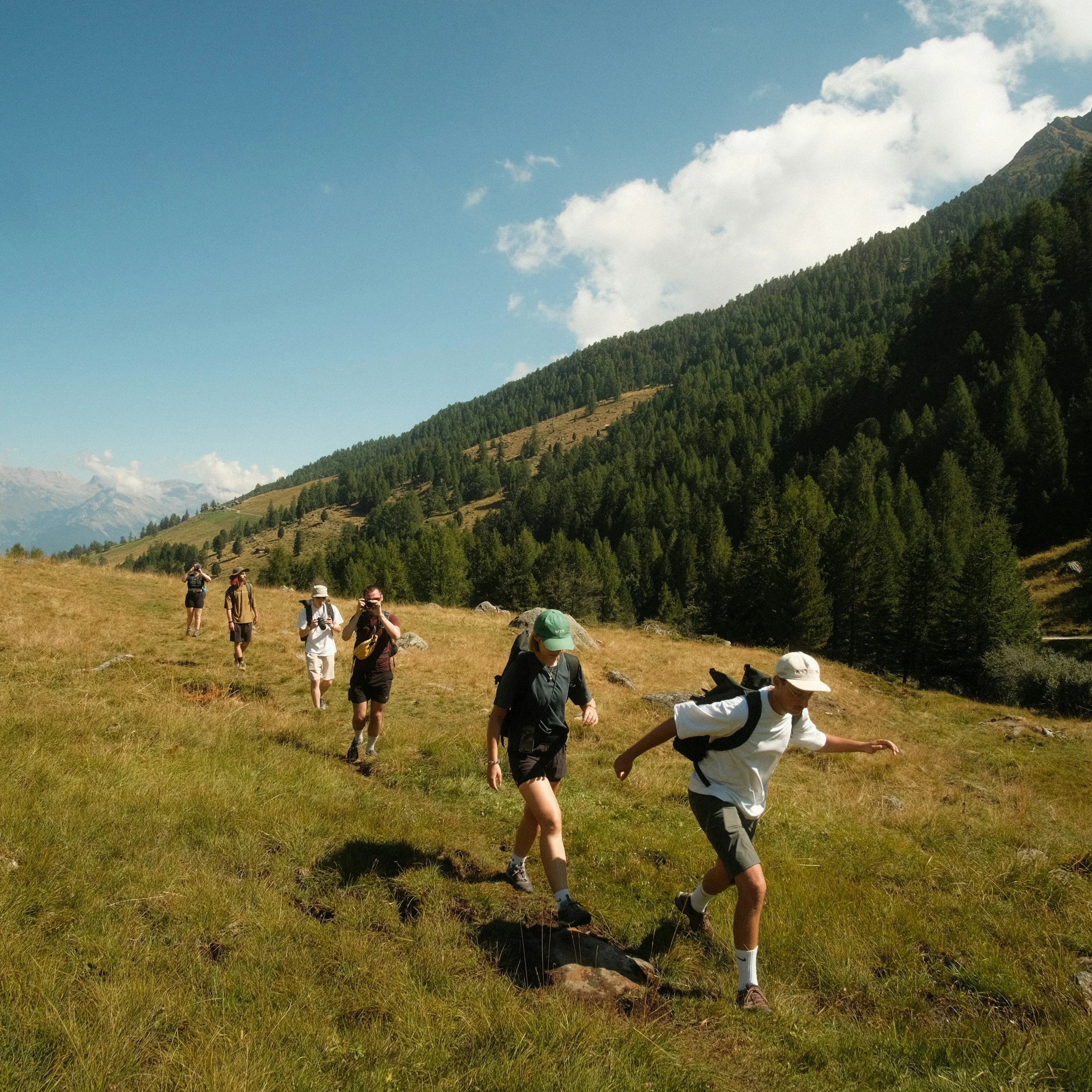 A group of hikers walking along a grassy trail in a mountainous area with trees and mountains in the background, under a partly cloudy sky.