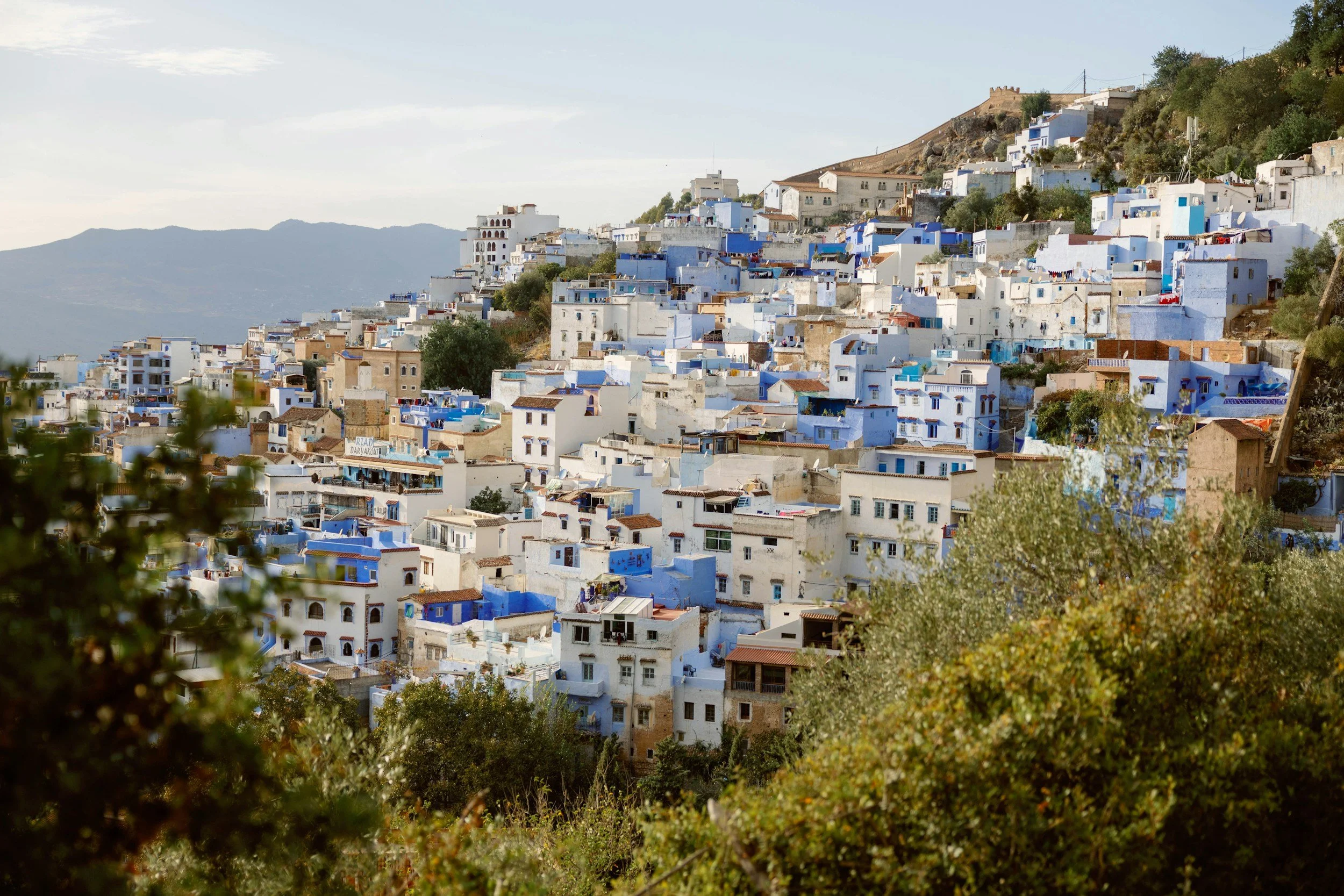 A hillside town with white and blue buildings stacked on the slope, with trees and greenery in the foreground and mountains in the background.