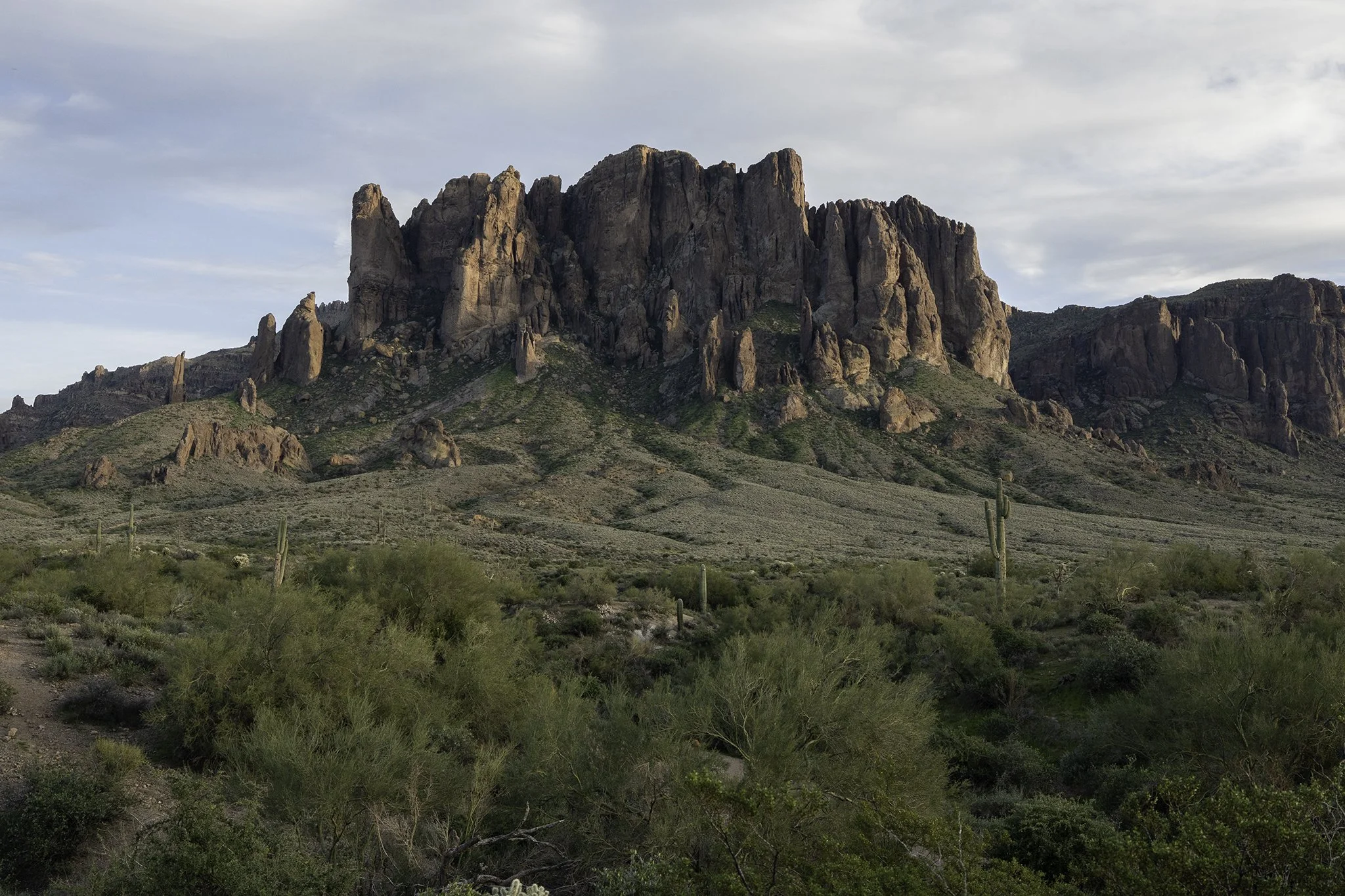 The Dutchman's Secret