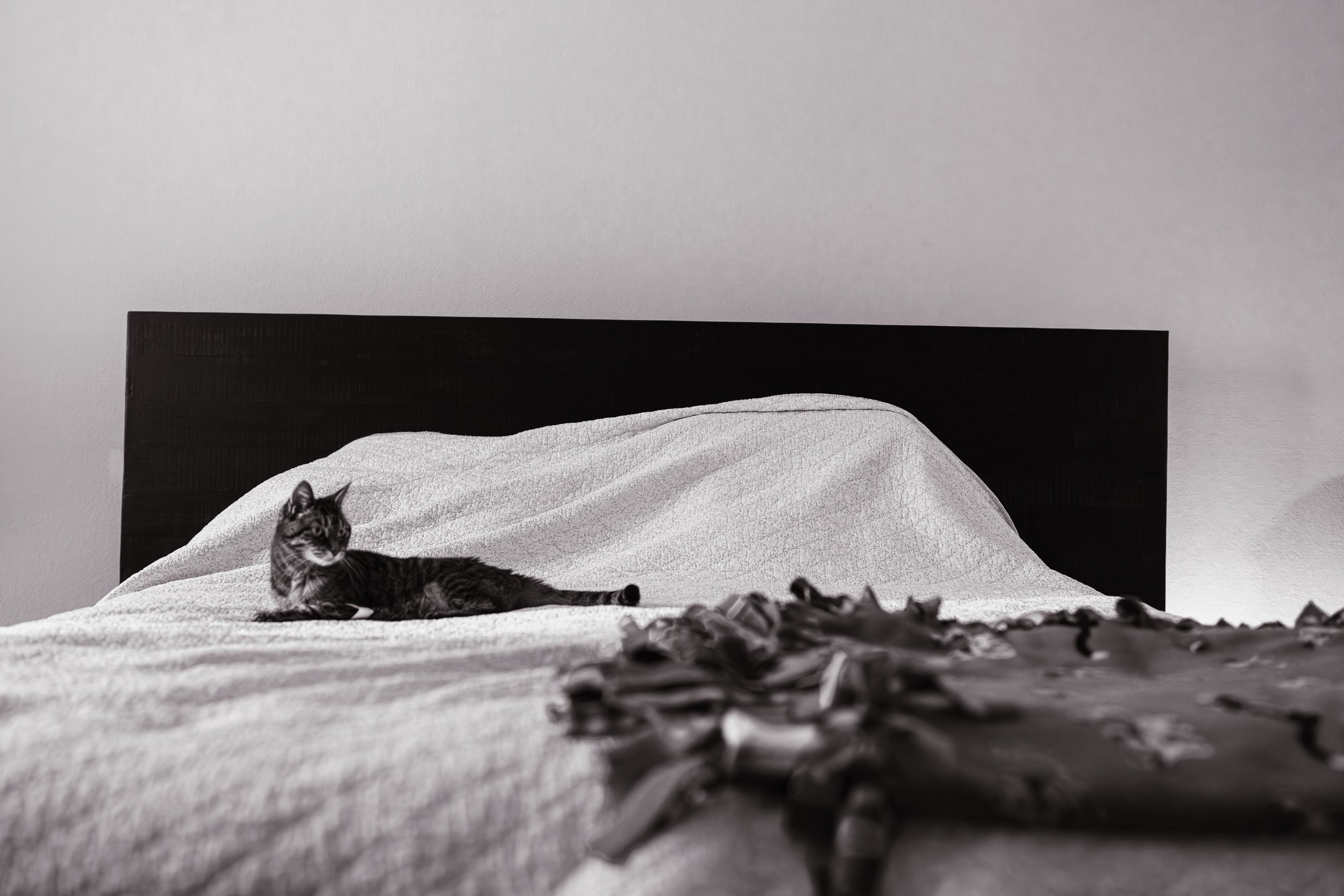 Living the Life of Luxury 