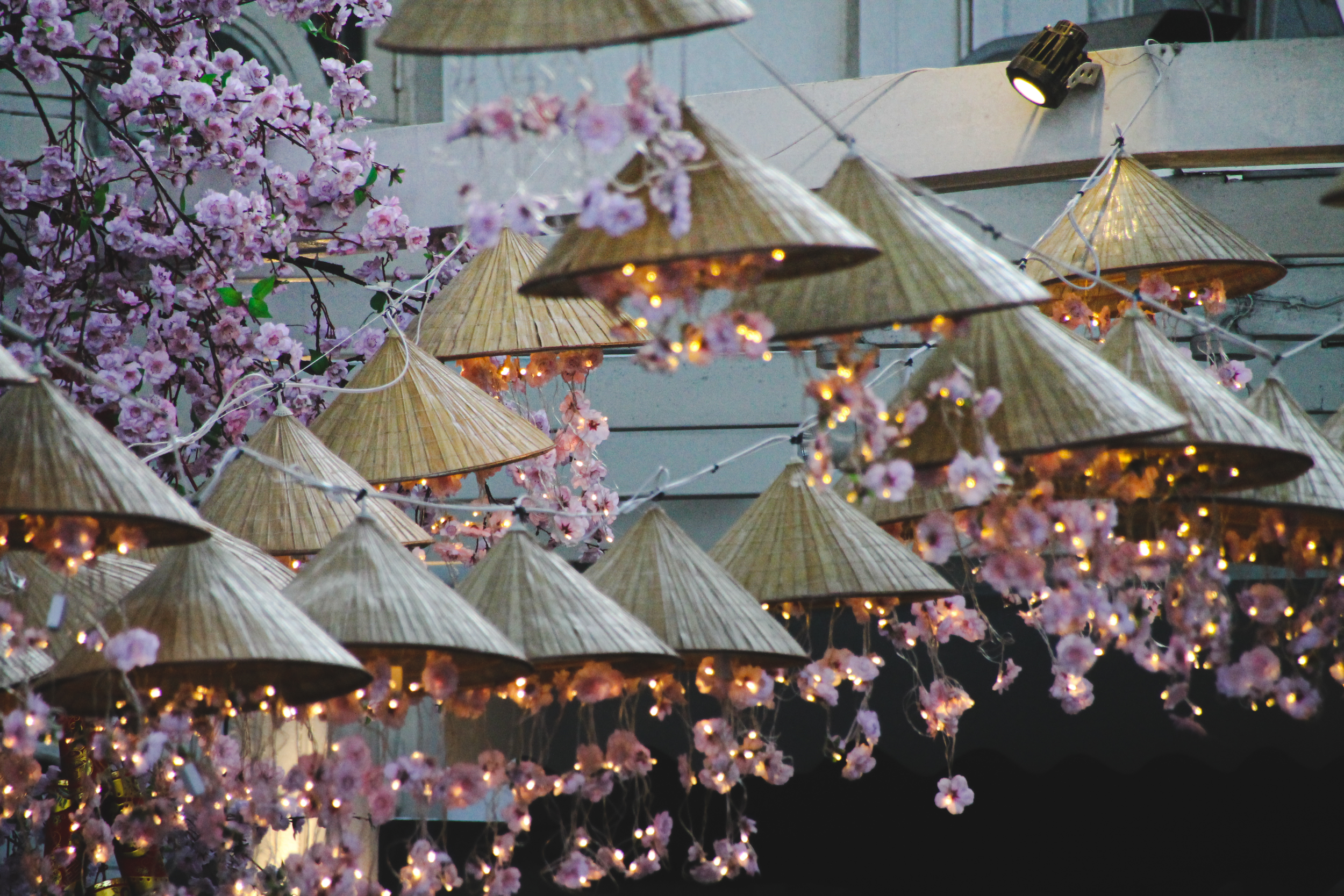 Cherry Blossom decoration.png