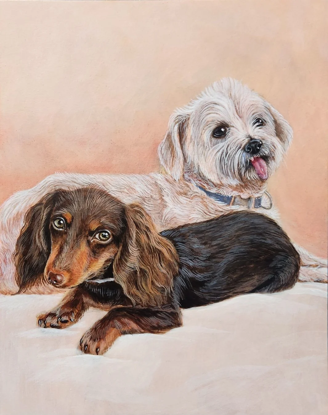 KakaoTalk_Photo_2026-02-11-05-24-37 008.jpeg