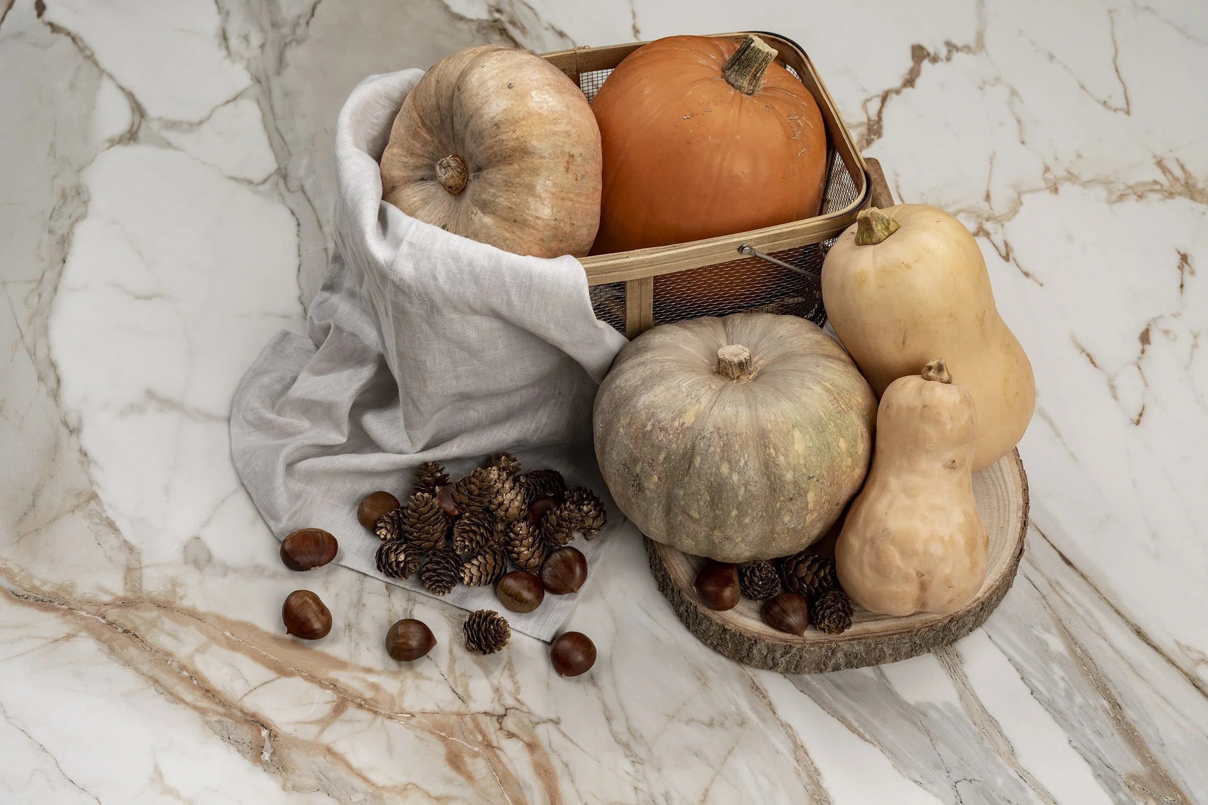 20241017-Macchia-Vecchia_Gold-004 (BajaResolucion).jpg