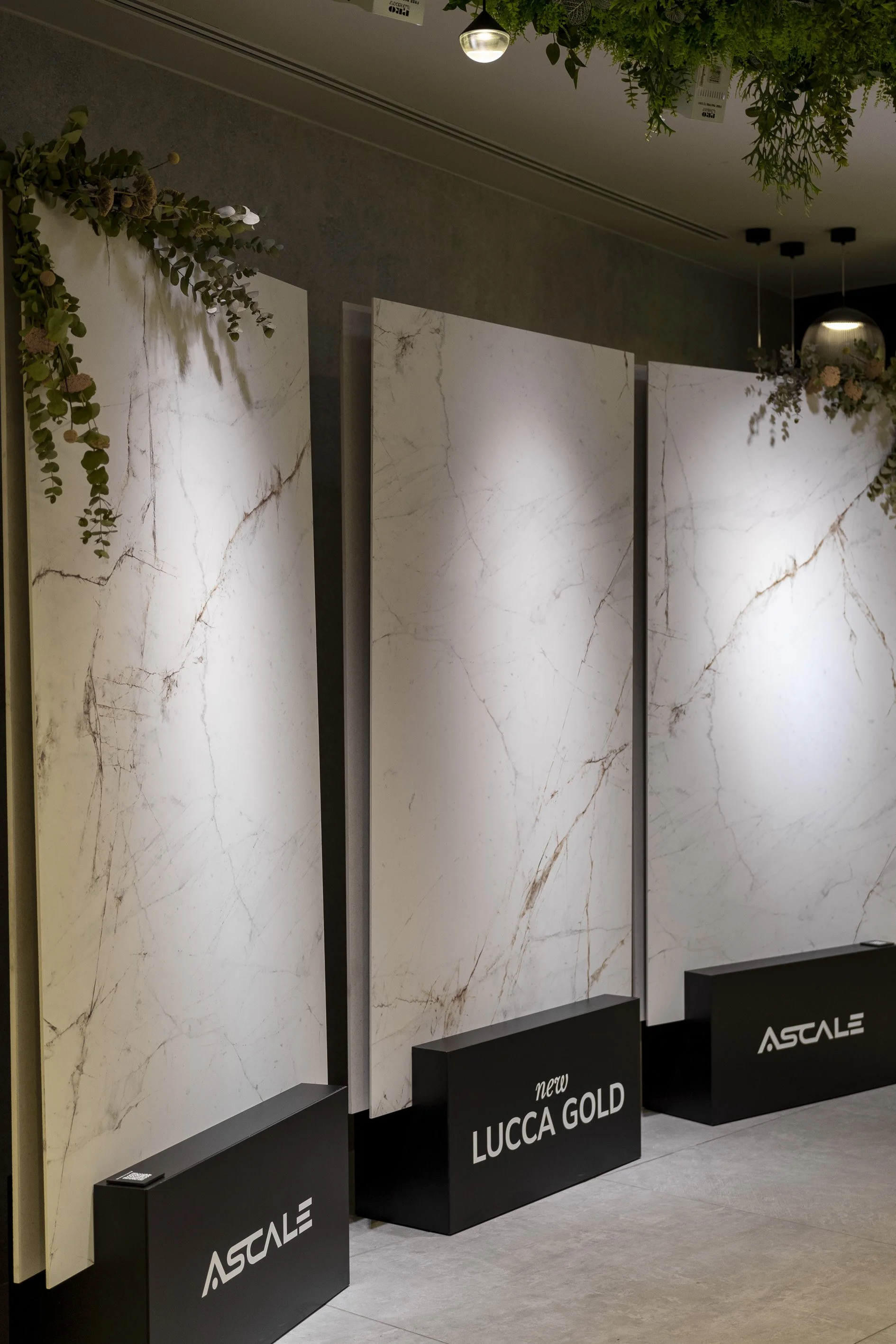 LUCCA GOLD - CLUB 1923 (1).jpg