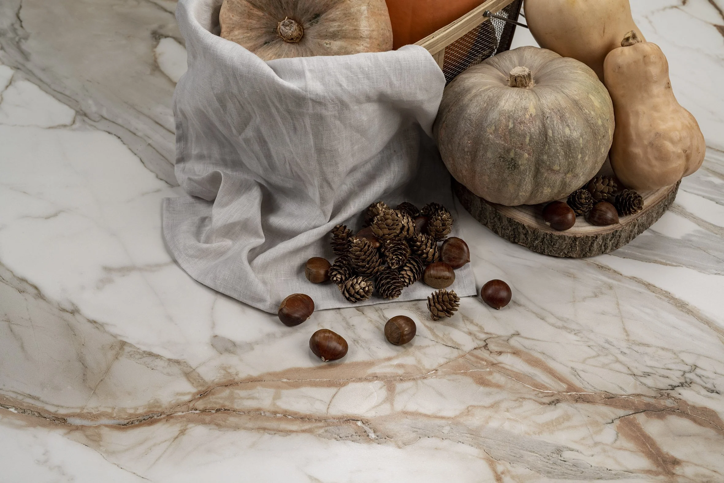 20241017-Macchia-Vecchia_Gold-005 (BajaResolucion).jpg