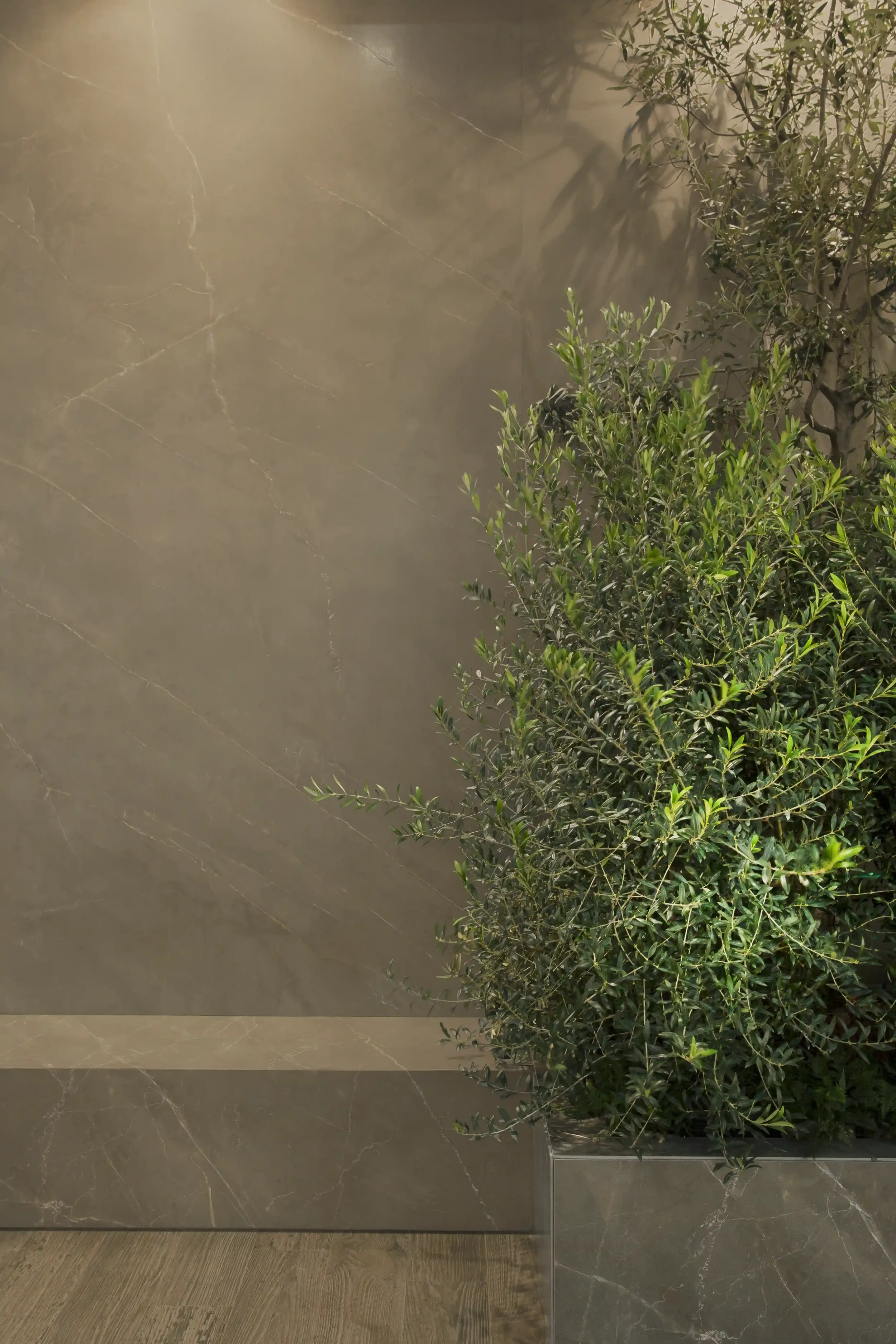 Ambte 8_Det Crotone Pulpis WEBP.webp