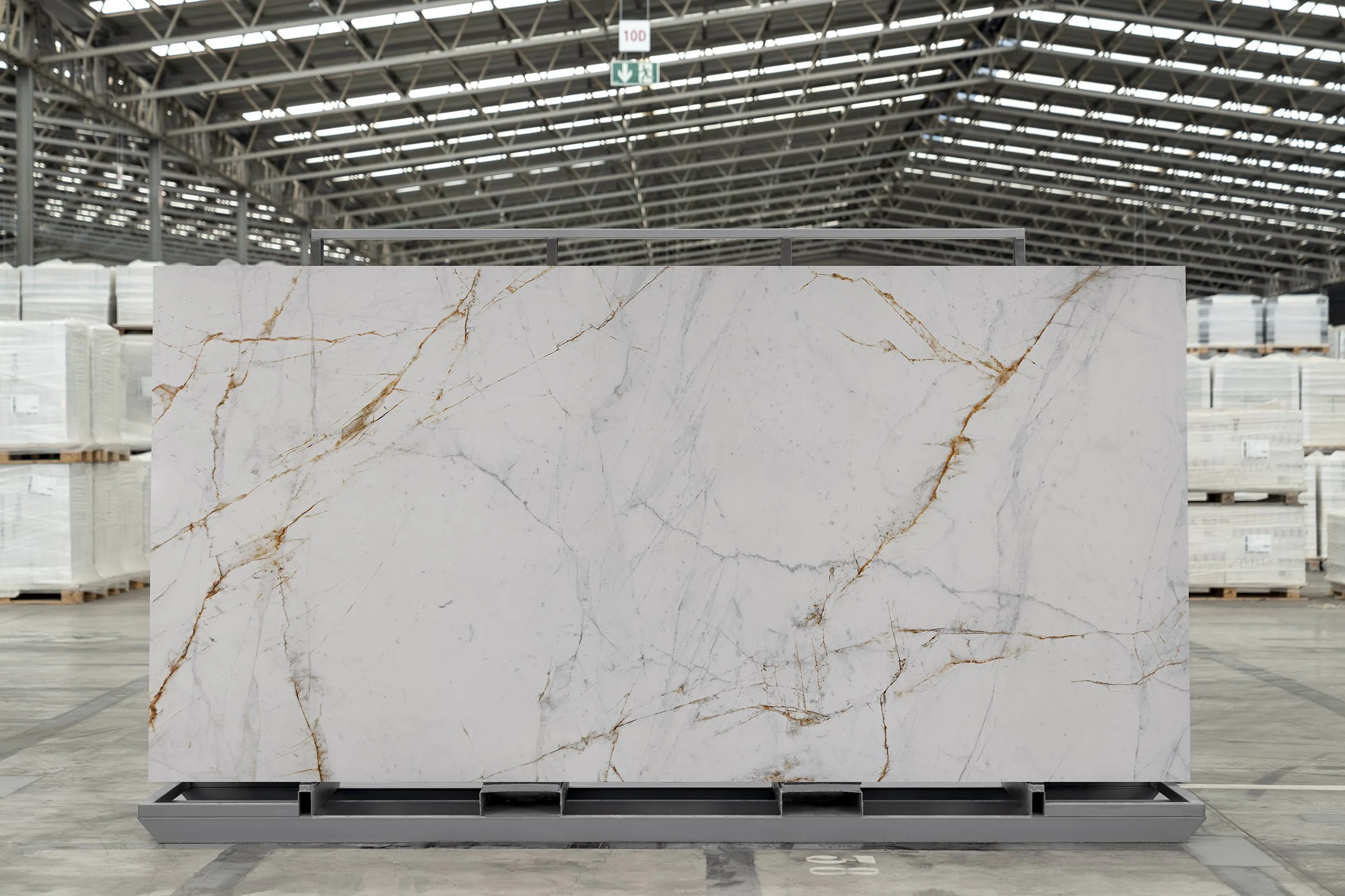 20241017-Luca_Gold-FONDO (BajaResolucion).jpg