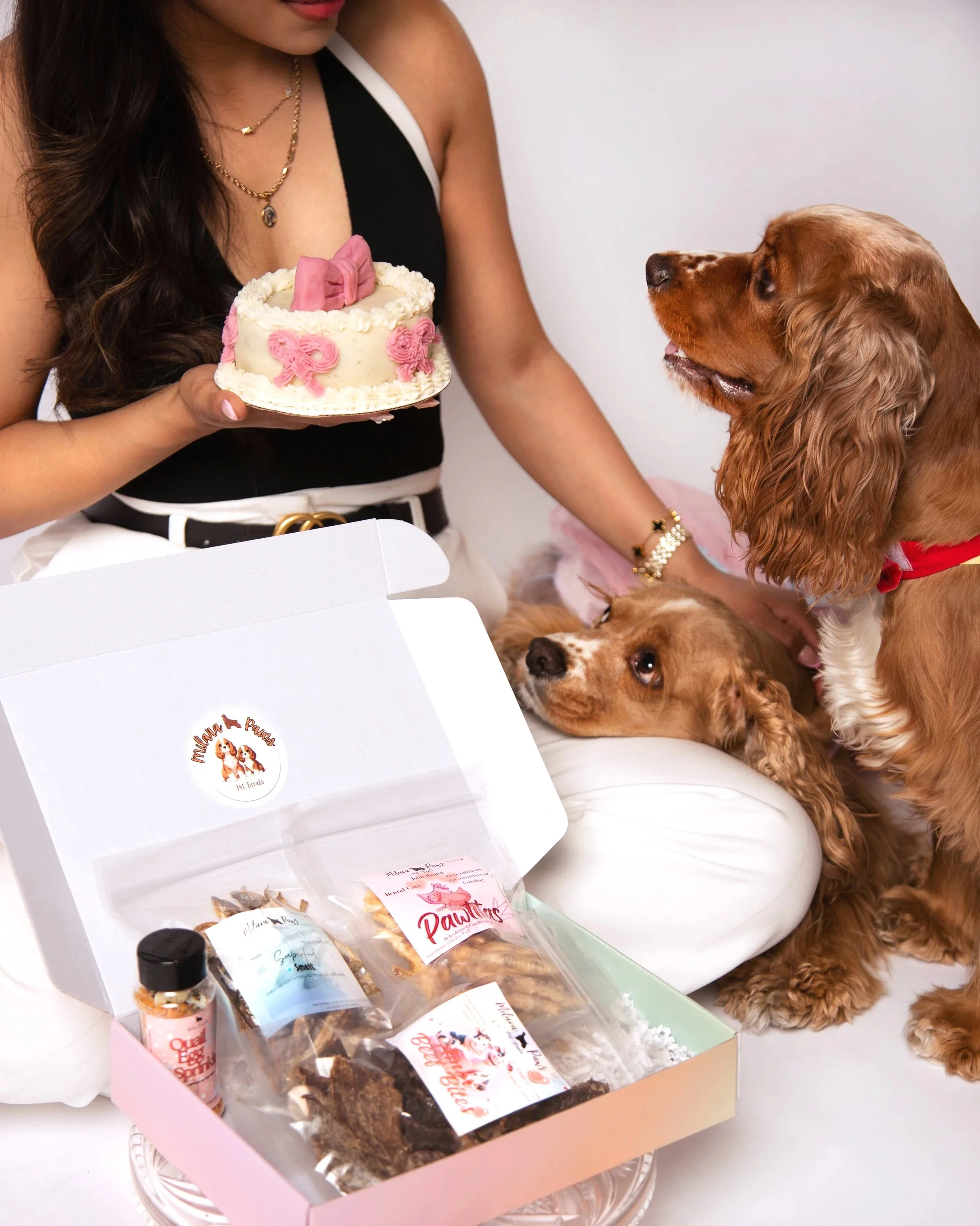 Woman holding birthday cake decorated with pink flowers and a pink bow, with two dogs nearby, one lying down and the other standing, in front of an open gift box with dog treats and snacks.