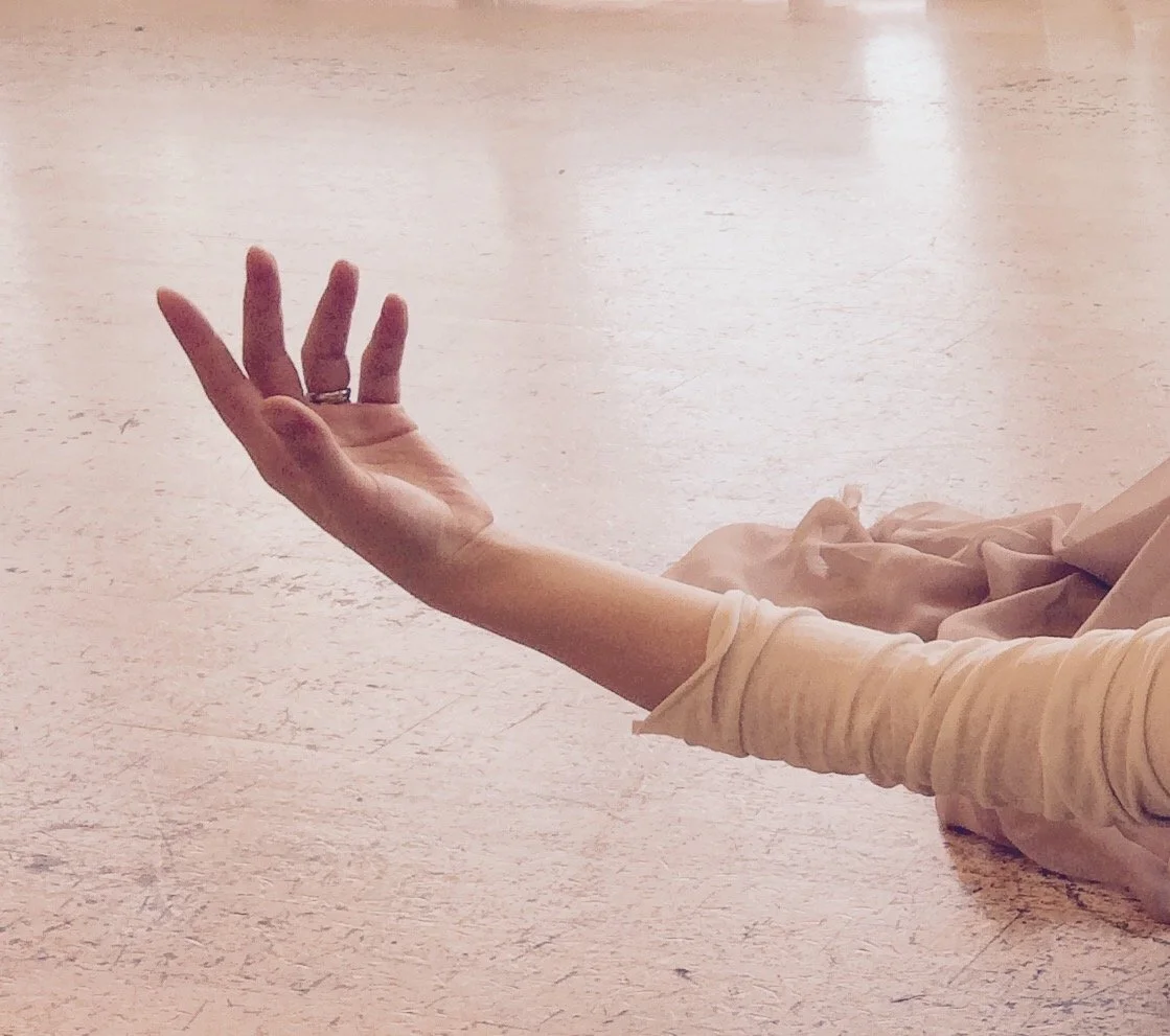 California Association for Infant Mental Health conference