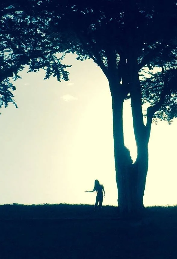 Contact Improvisation &amp; Biomimicry