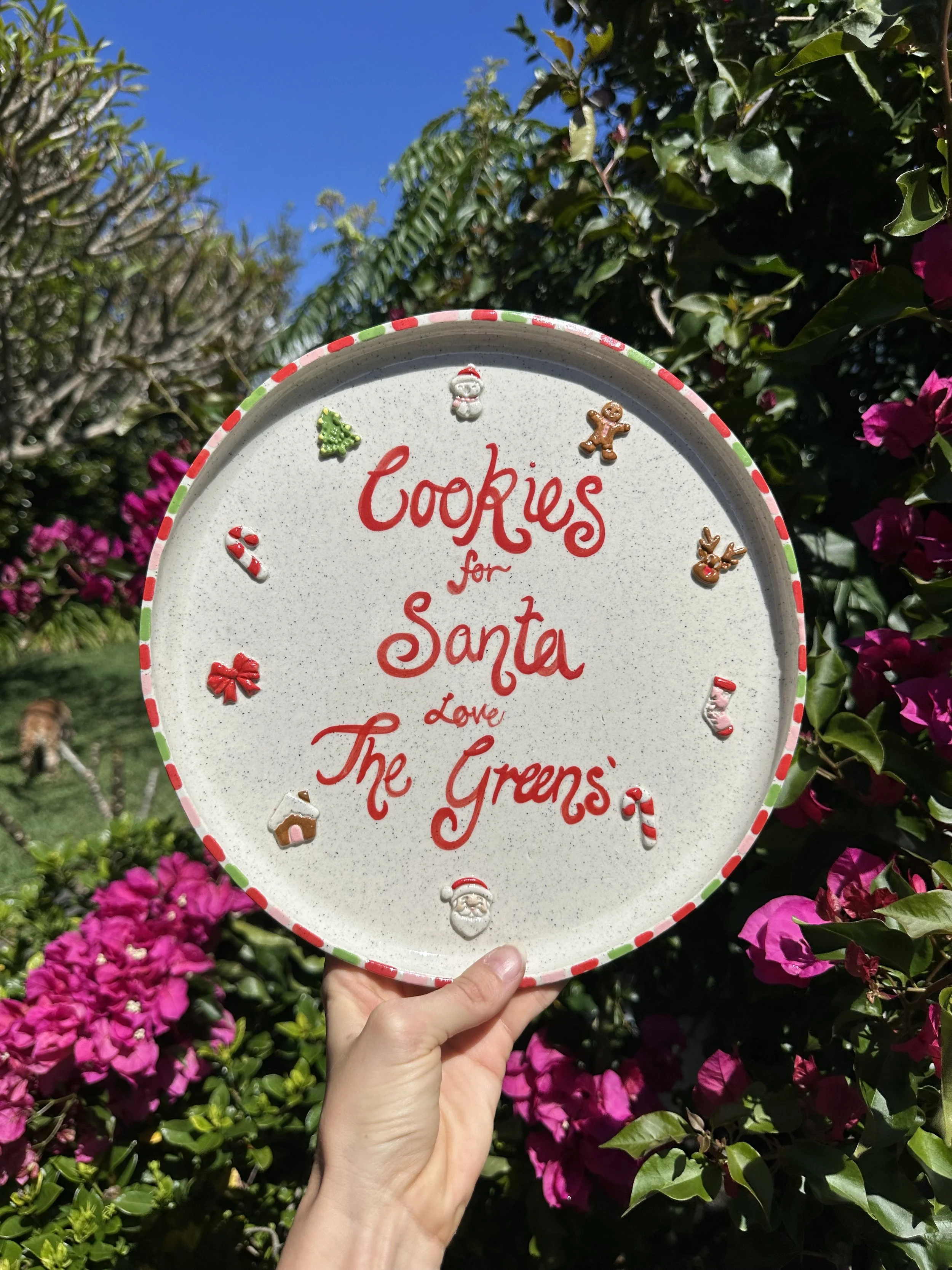 Custom Cookies for Santa Plate