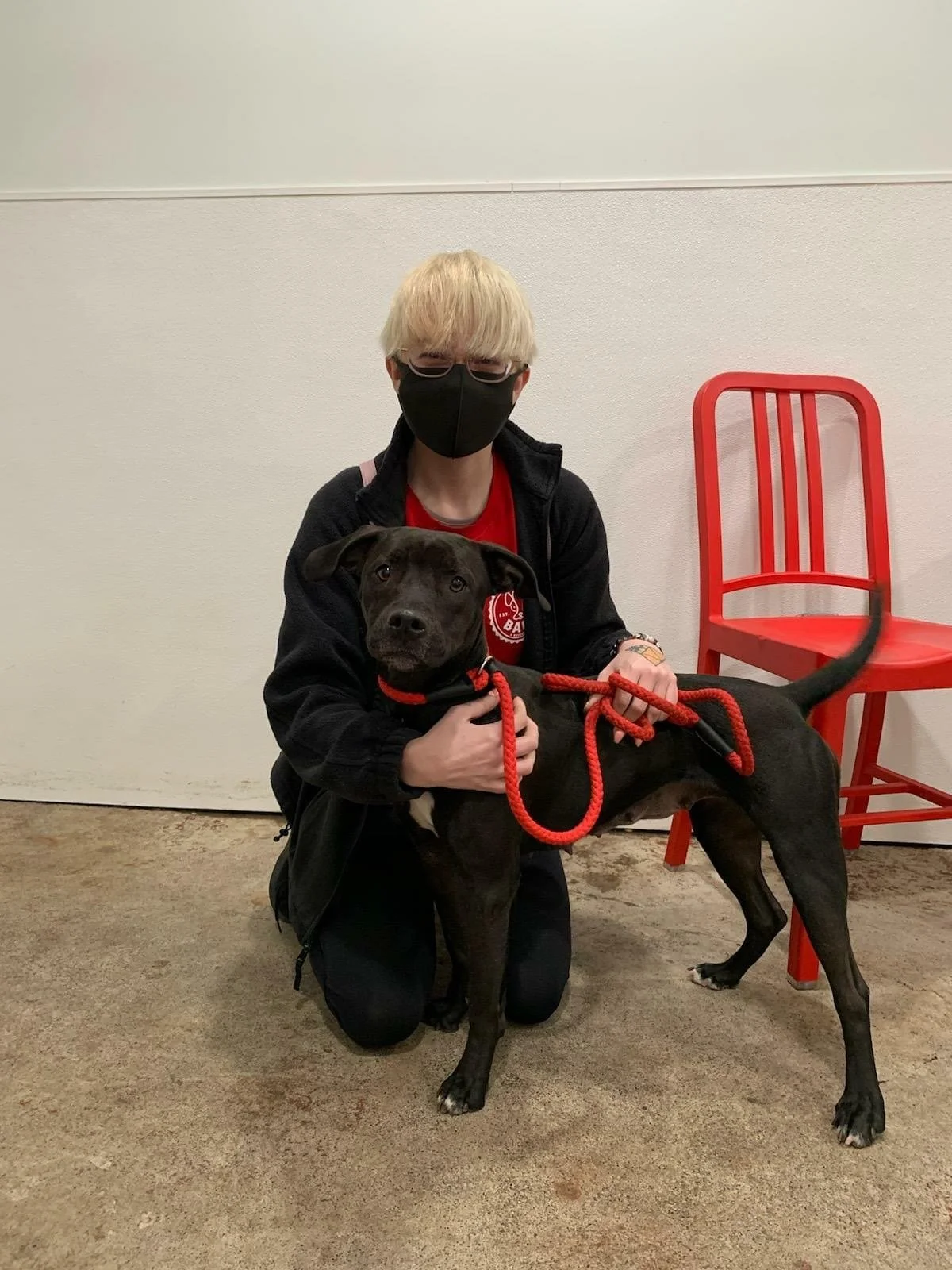 A person with blonde hair wearing glasses and a black face mask kneels on the ground holding a black dog with a red leash. The person is wearing a black jacket and red shirt, seated against a plain white wall with a red chair nearby.