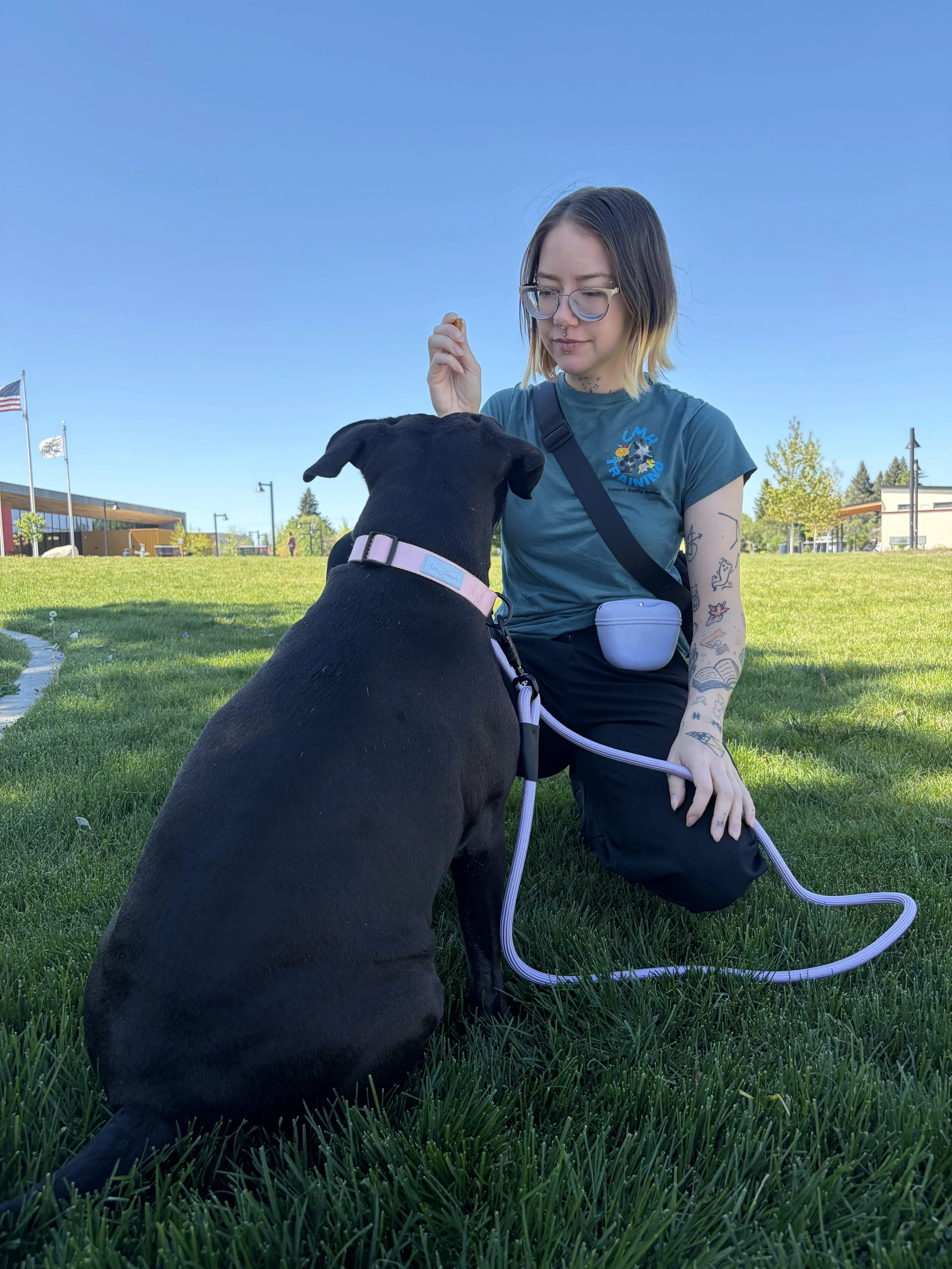 A young woman with tattoos and glasses sitting on grass, facing a black dog, outdoors on a sunny day with clear blue sky, trees, and a building in the background.