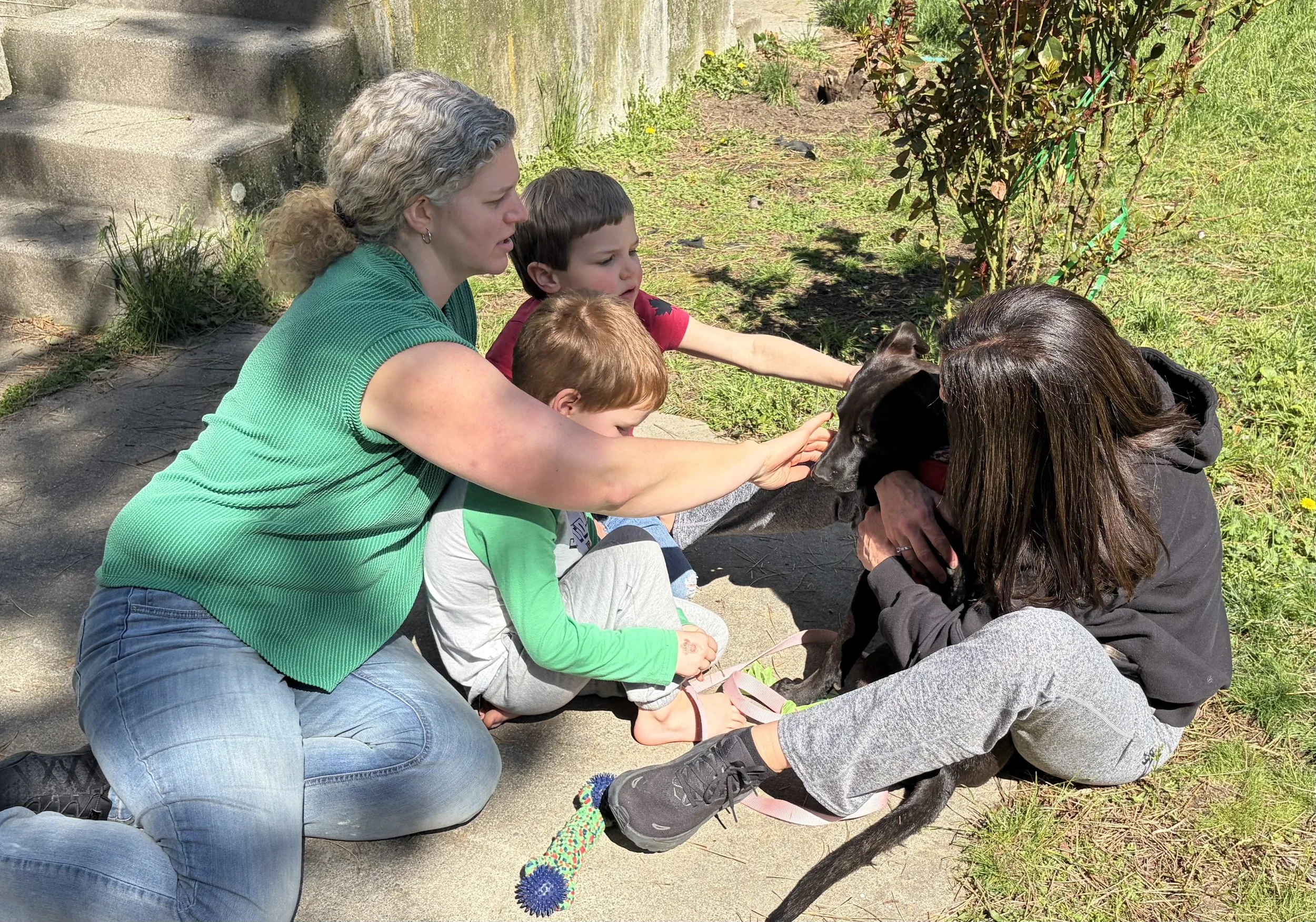 A group of children and two women sitting on the sidewalk outdoors, reaching out their hands to pet a black dog.