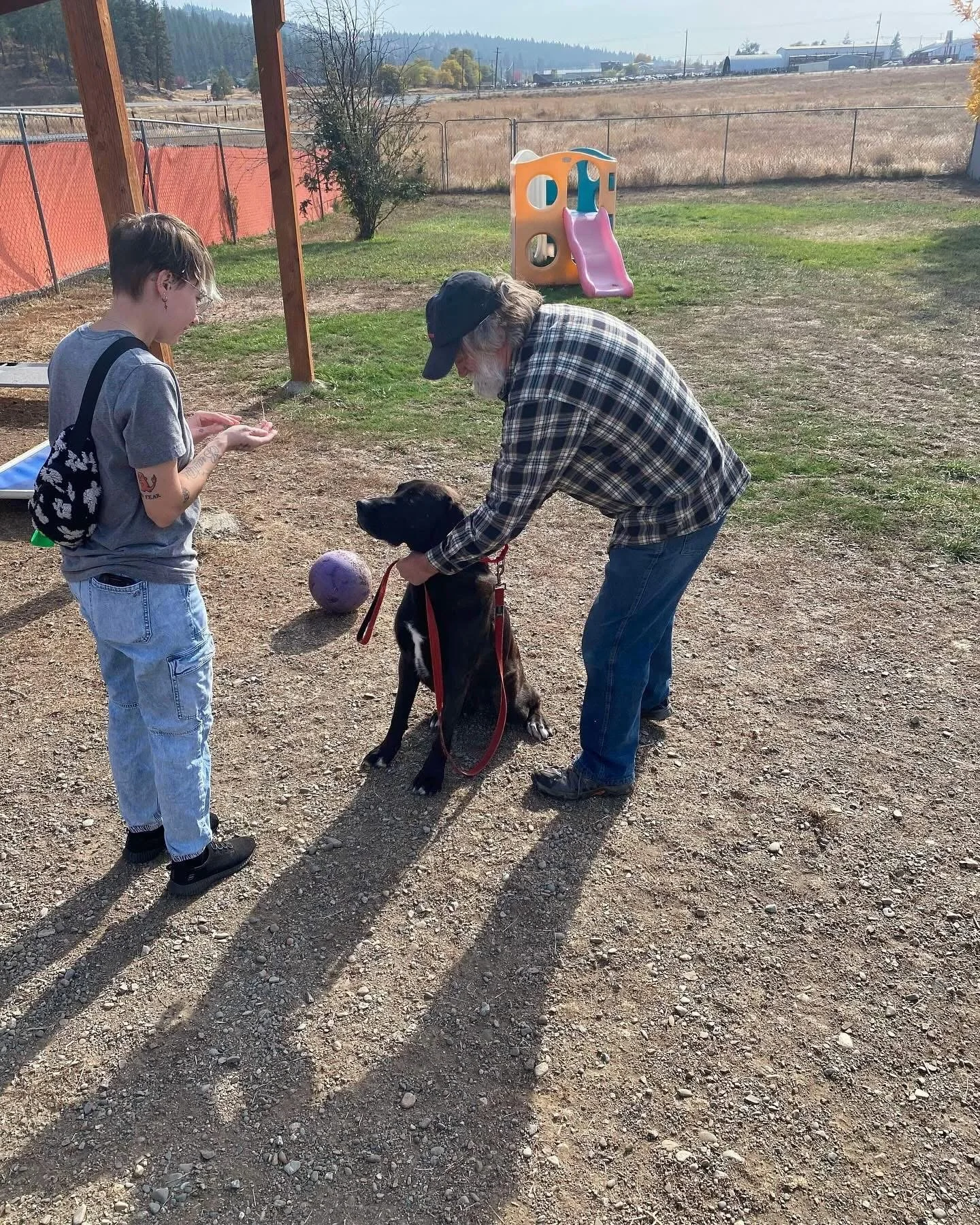 A young person and an older man with a dog at a fenced outdoor area, playing with a purple ball on the ground. The man is holding the dog's leash, and the young person is holding out their hand, appearing to give a treat.