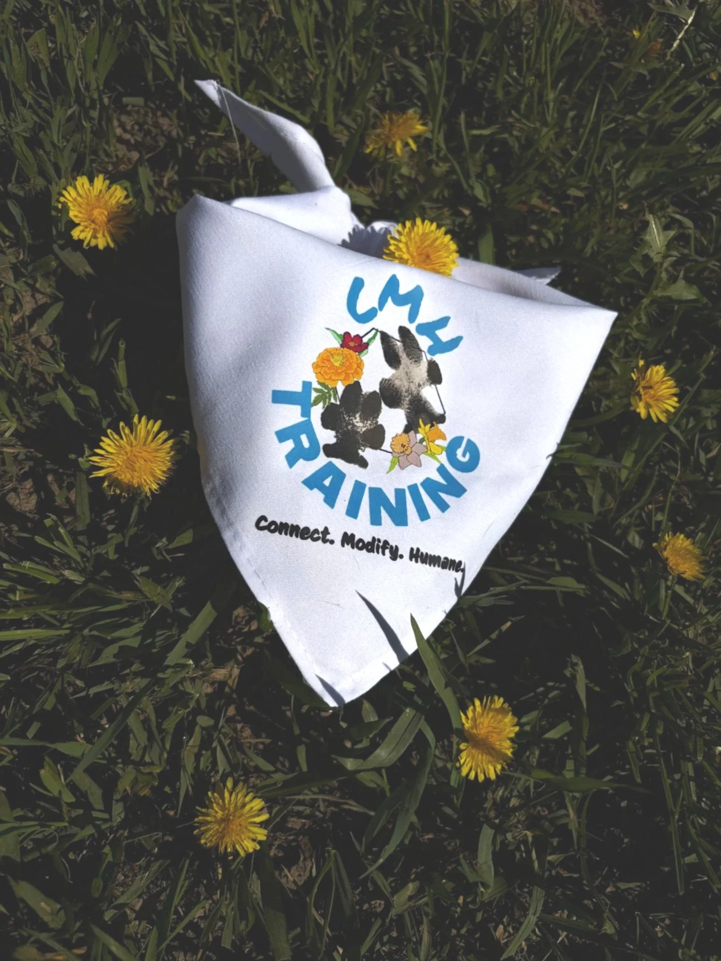 A white cloth banner on grass with yellow dandelions, showing a logo with panda bears and flowers, the words 'CMH TRAINING', and the tagline 'Connect. Modify. Humane.'