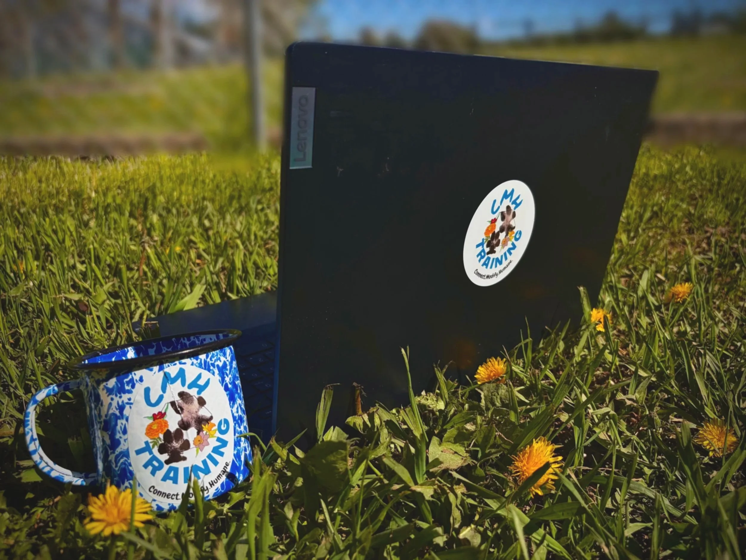 A black box and a blue and white mug with a lion and a puppy logo on a grassy field with yellow flowers. The box has a sticker that reads "CMH TRAINING" and a label that says "Connect. Motivate. Inspire."