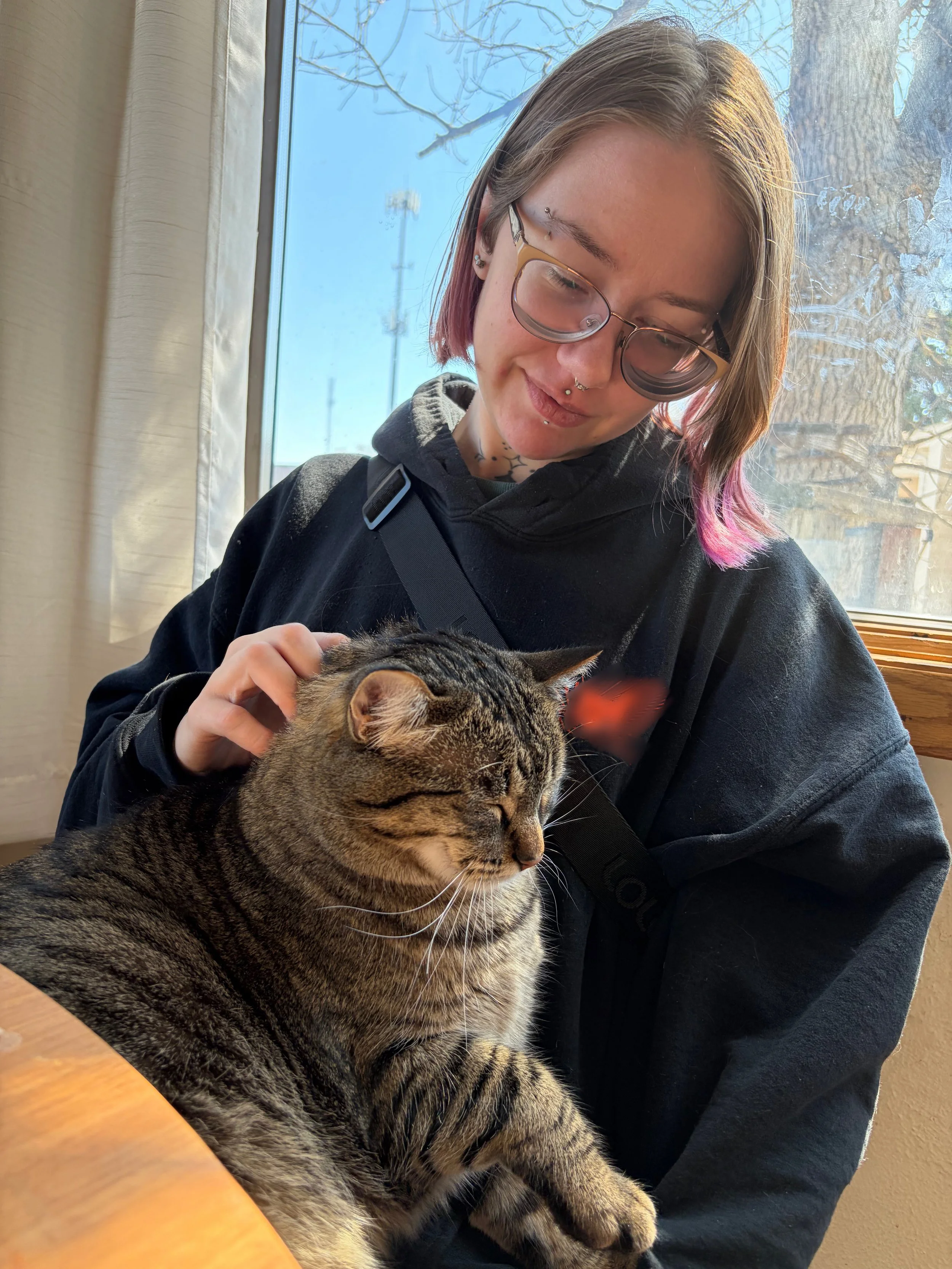 A woman with short hair, glasses, and piercings gently petting a tabby cat with closed eyes while sitting by a window on a sunny day.