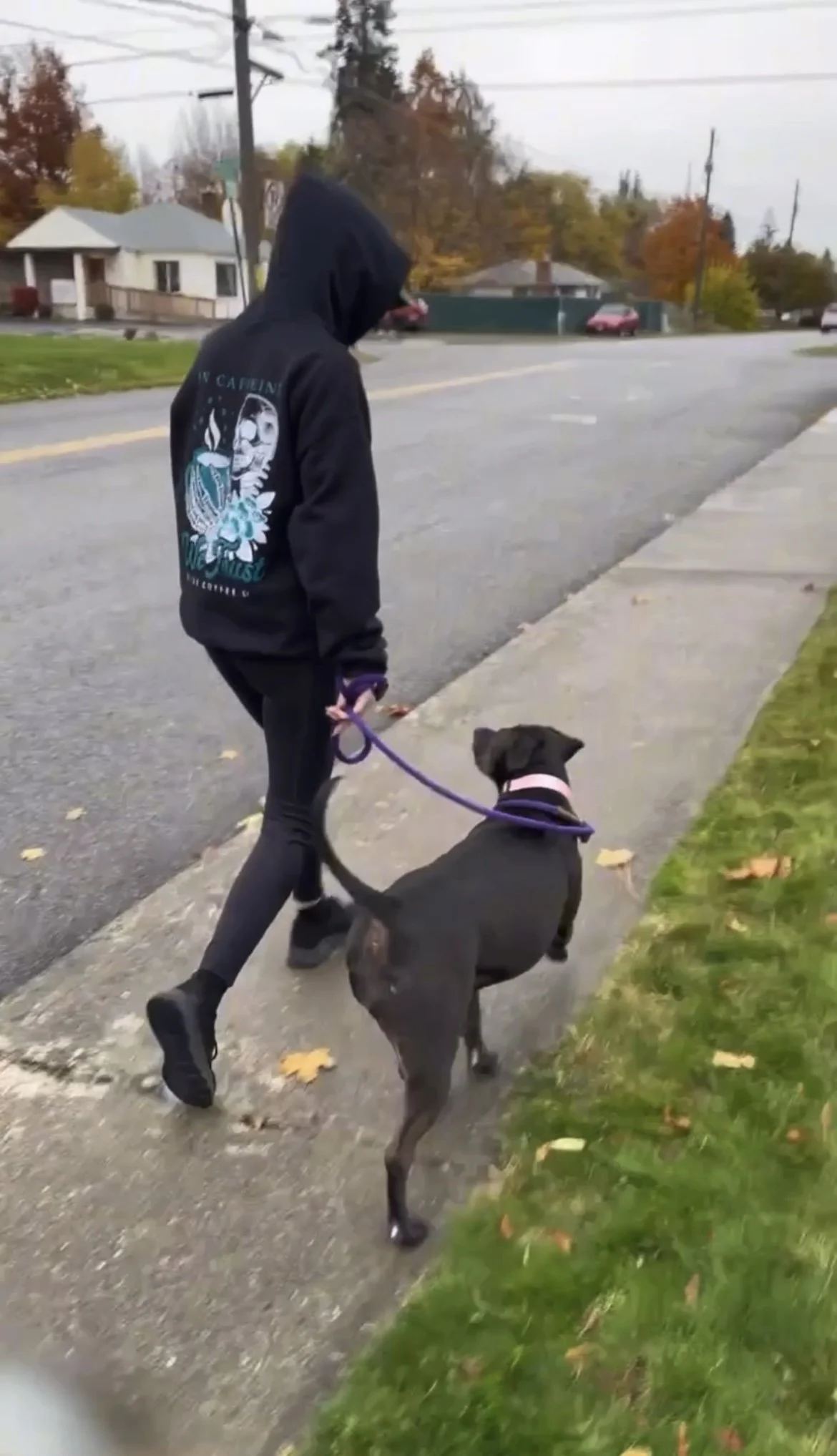 A person wearing a black hoodie walking a black dog on a sidewalk in a residential neighborhood during autumn.