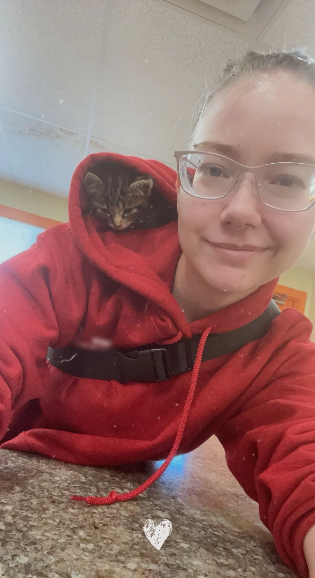 A person with glasses and a septum piercing taking a selfie with a small tabby kitten resting on their shoulder, both in a room with a beige ceiling and a granite countertop.