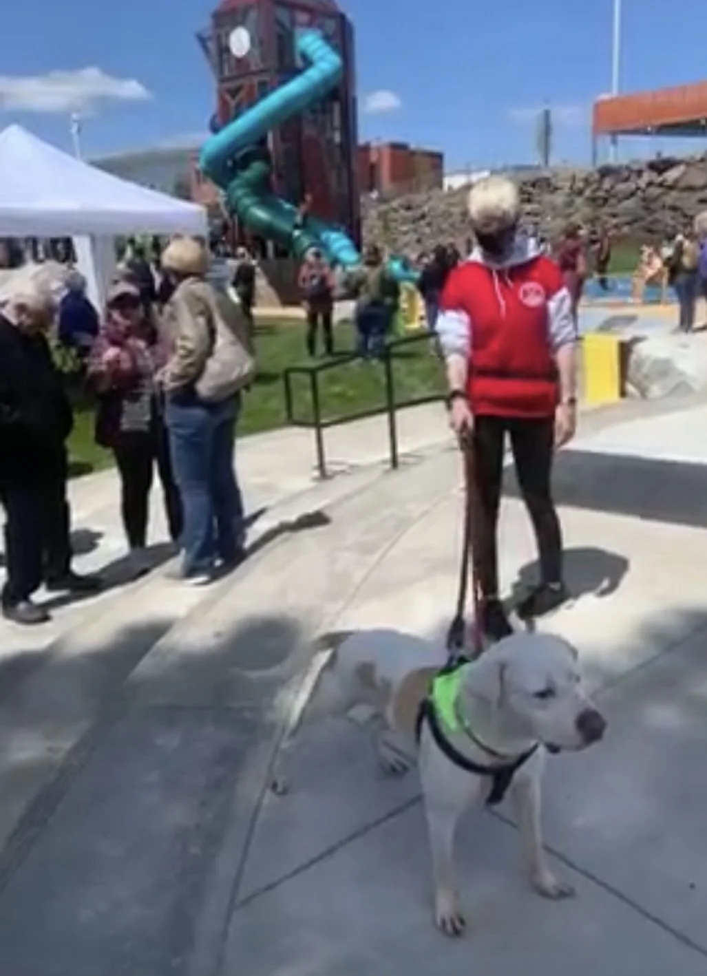 A woman with short blonde hair wearing a red and gray jacket standing outdoors with a Labrador Retriever wearing a neon green harness. In the background, there is a crowd of people near a playground with a blue slide, and a white tent on the left. The sky is partly cloudy.