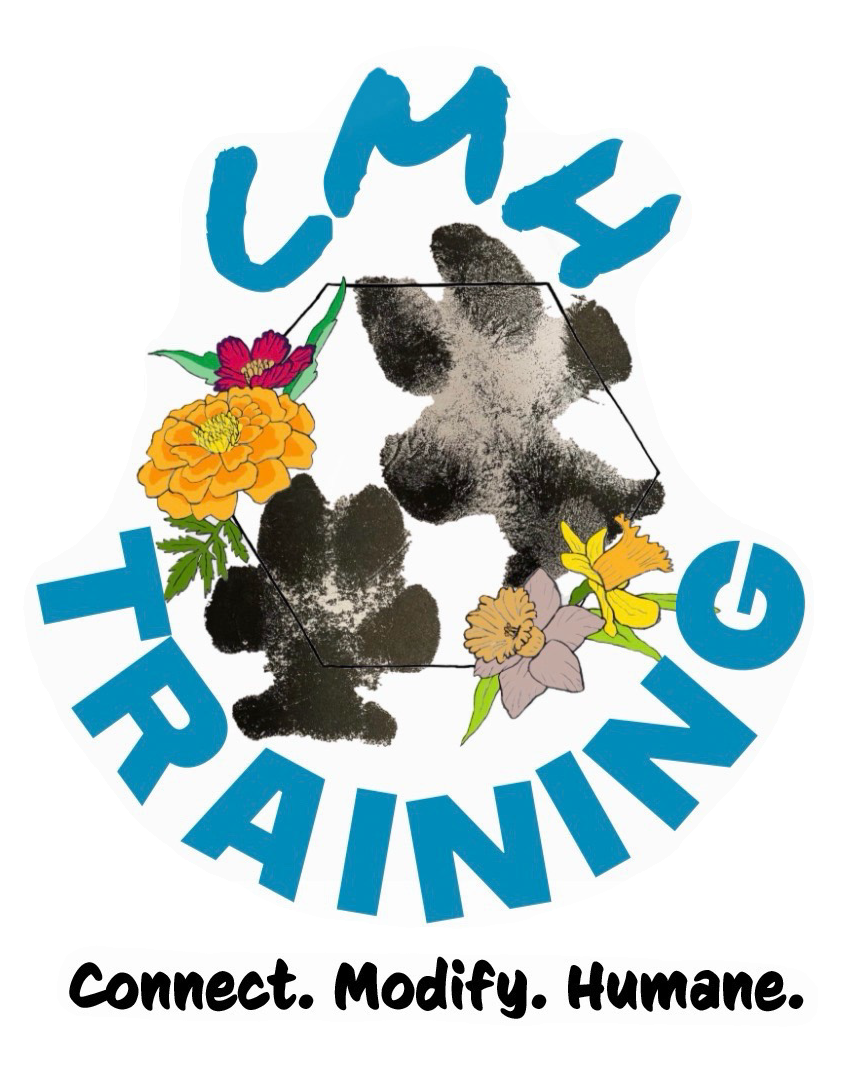 CMH Training 
