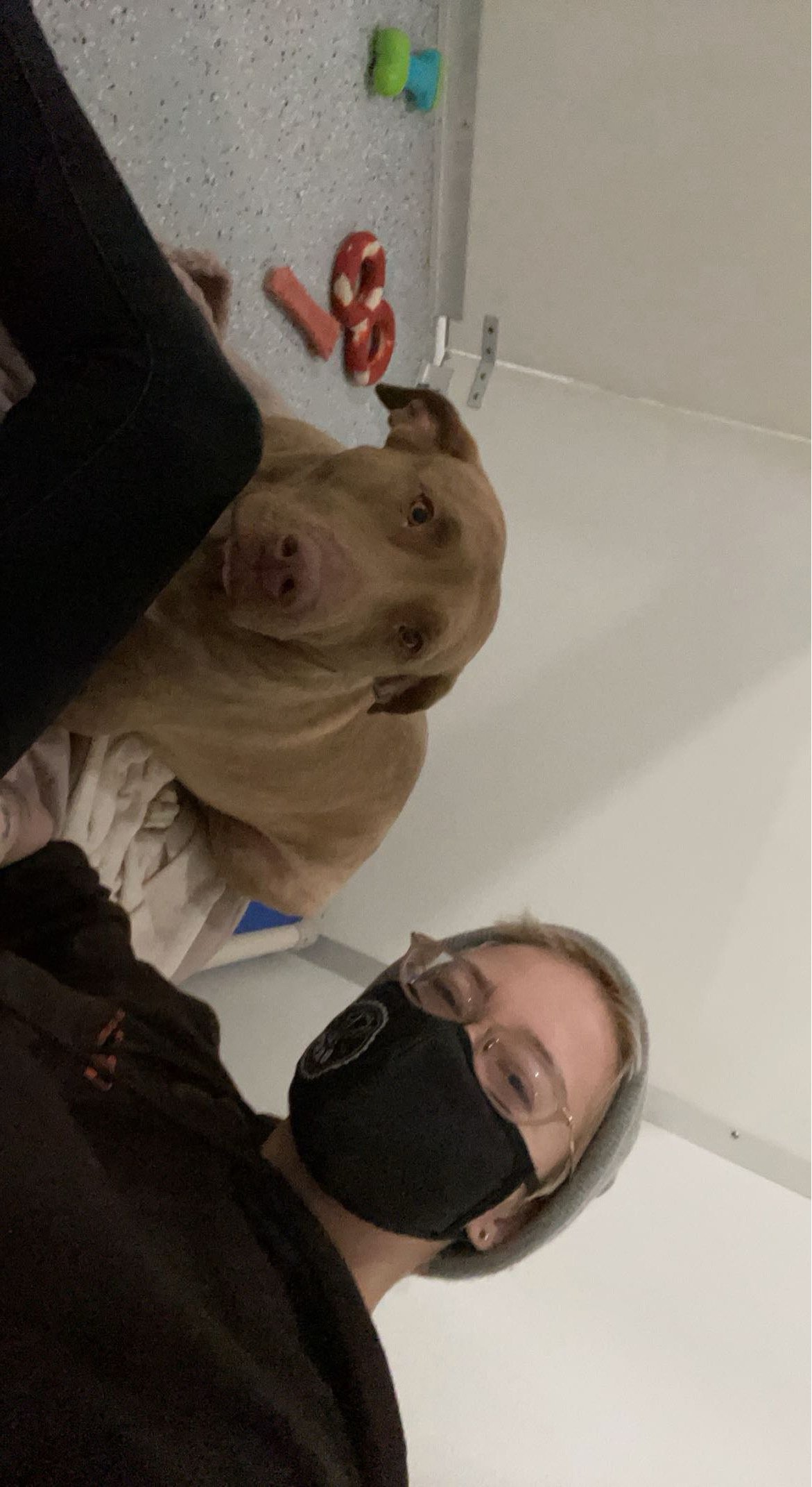A person with glasses and a black face mask taking a selfie in a room with a brown dog lying on a blanket on the floor, toys scattered nearby, and a white wall in the background.
