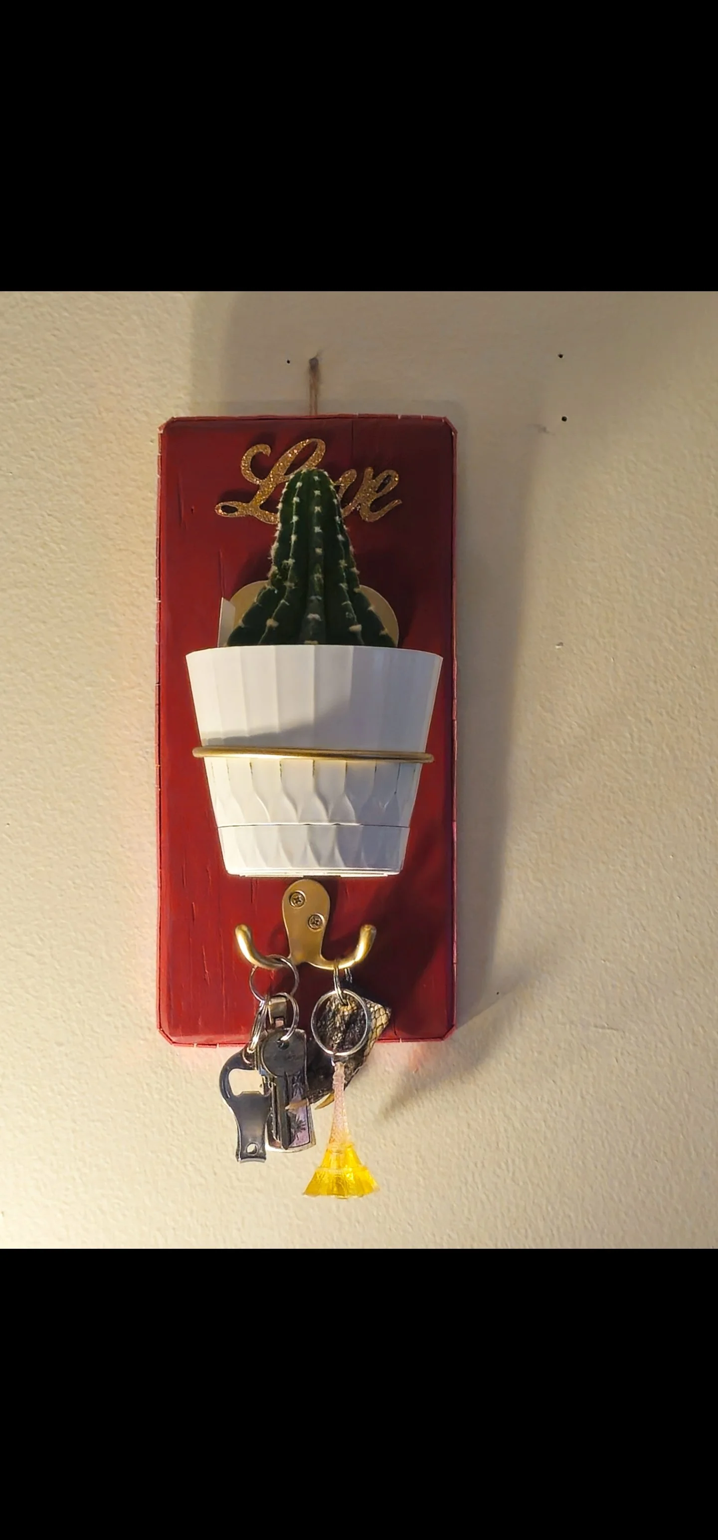 Love Wall Organizer & Plant Holder