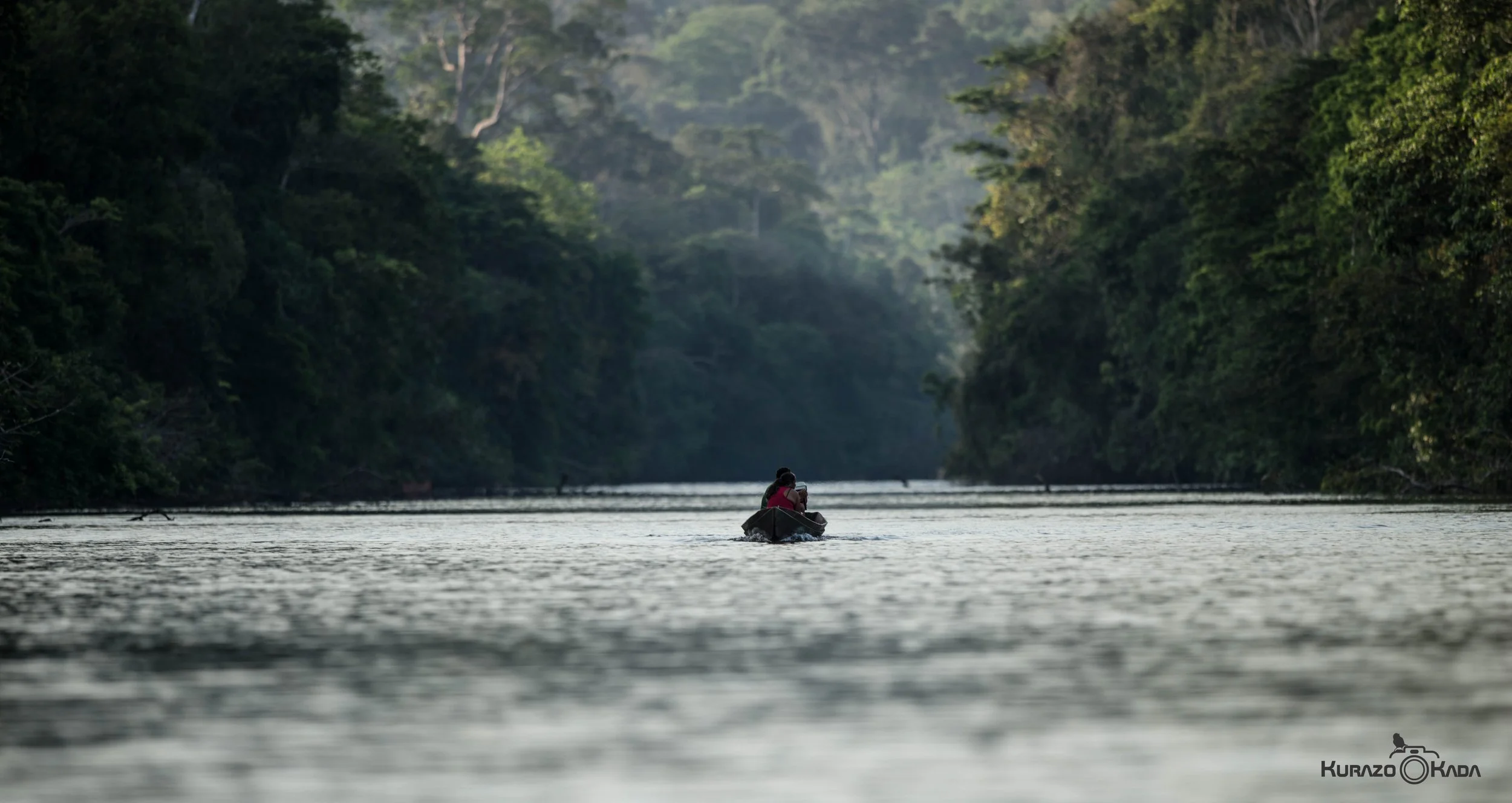 Rio Iratapuru-Jari, Brazilian Amazon