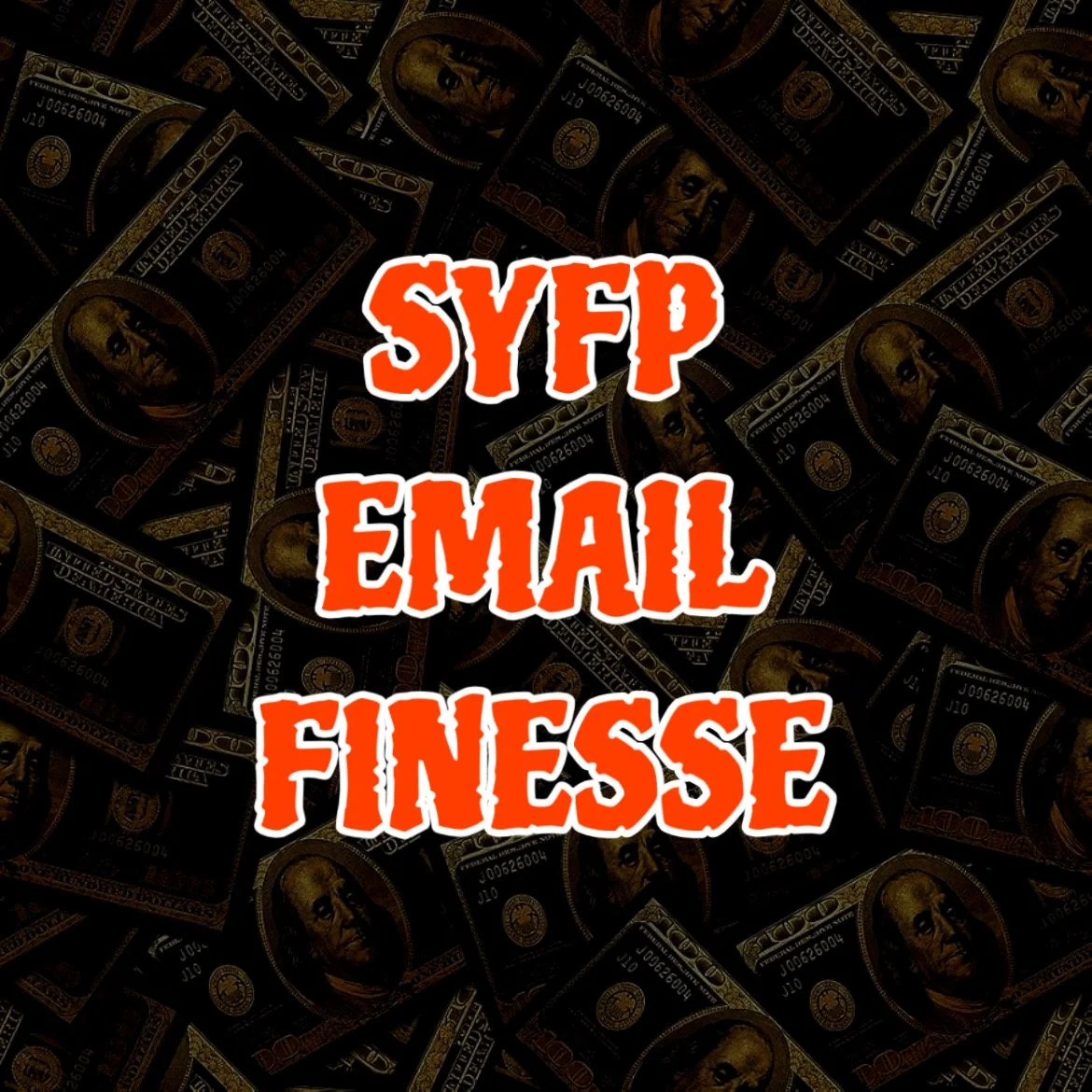 SYFP EMAIL FINESSE PIC.JPEG