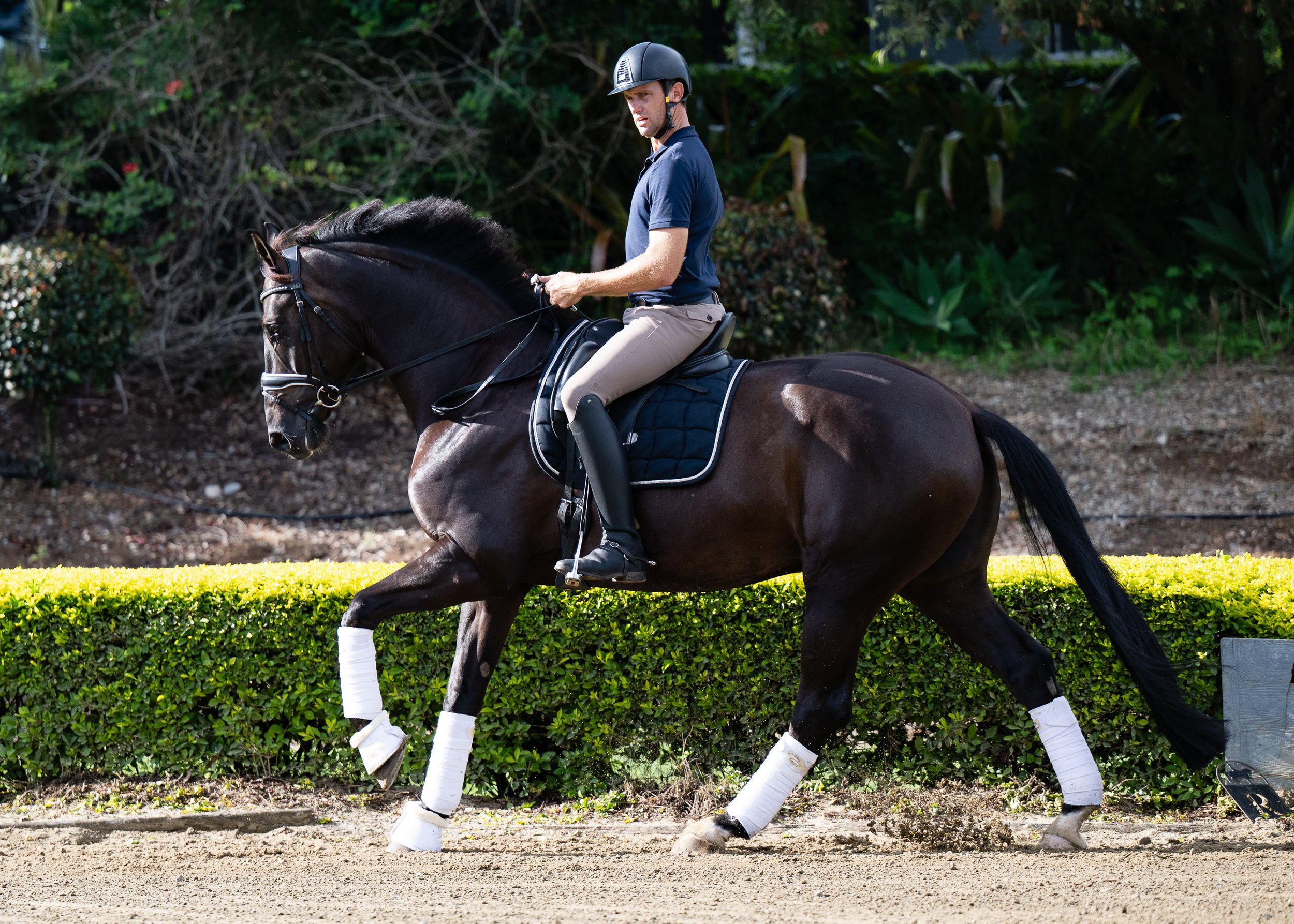 Hampton Park Equestrian, Qld: Training