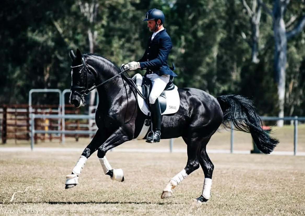 Hampton Park Equestrian: Campaigning