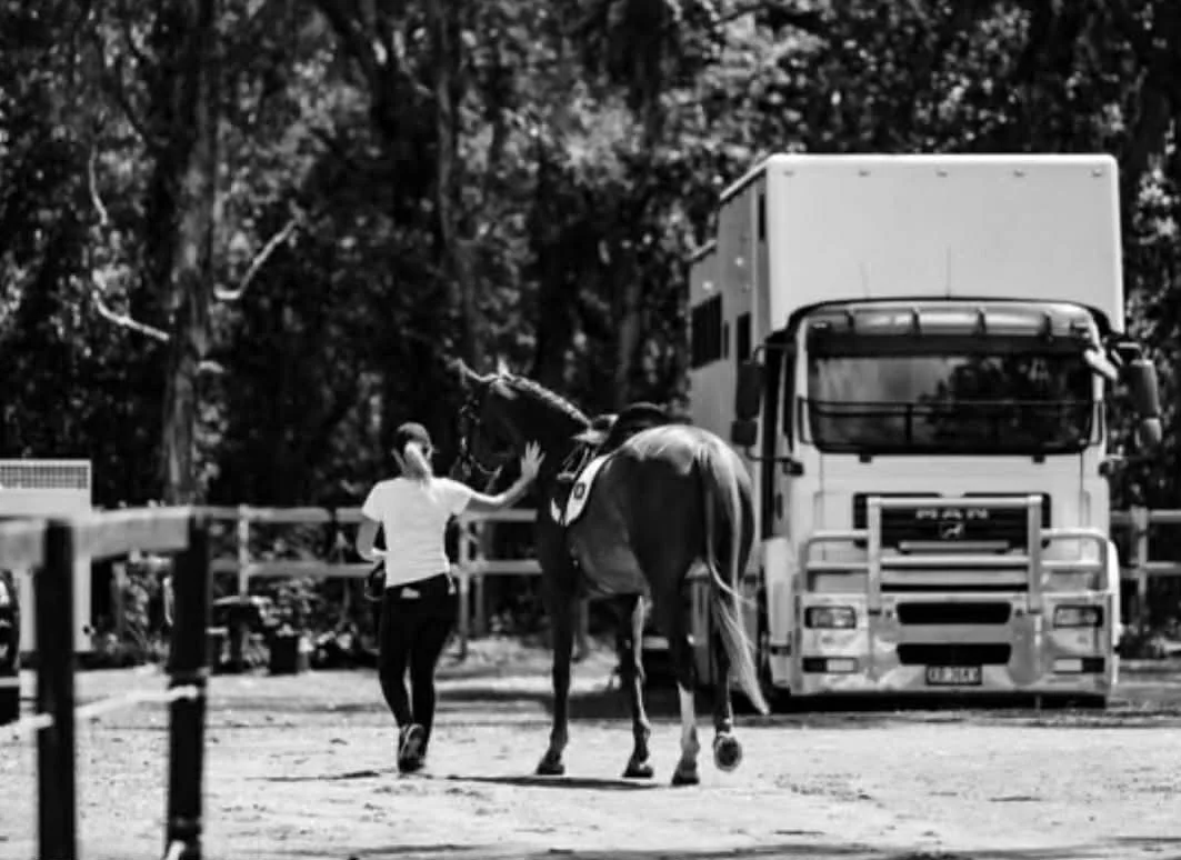 Hampton Park Equestrian: Campaigning