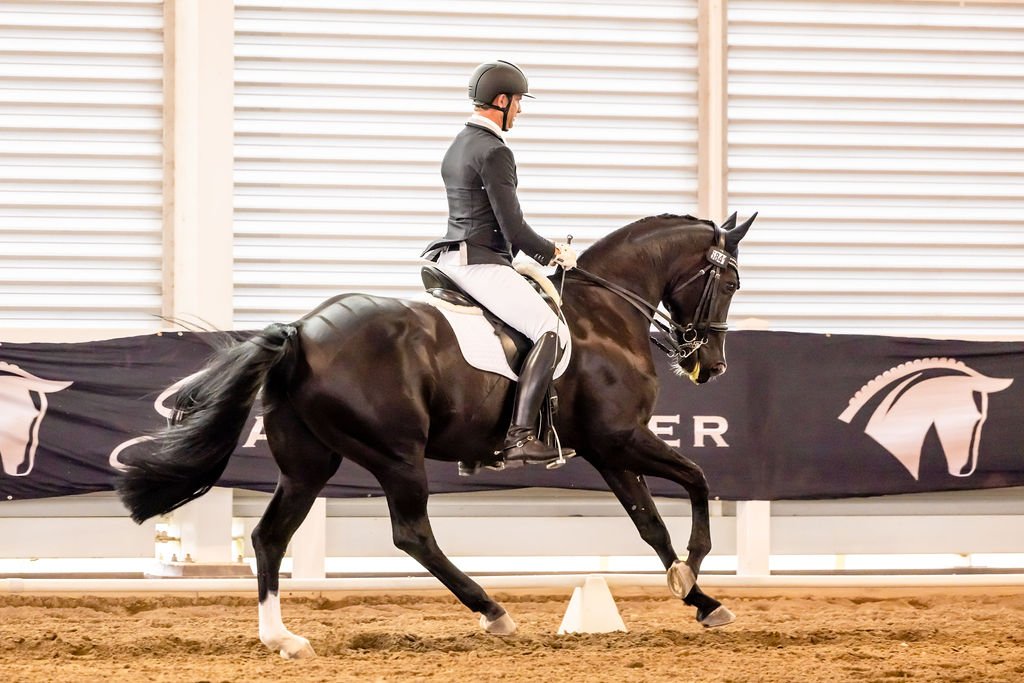 Harvery Besley, Hampton Park Equestrian, Qld