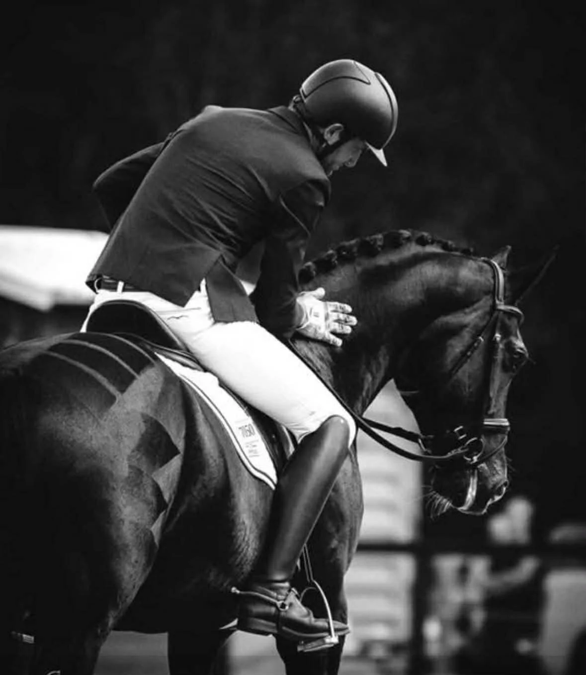 Hampton Park Equestrian: Campaigning