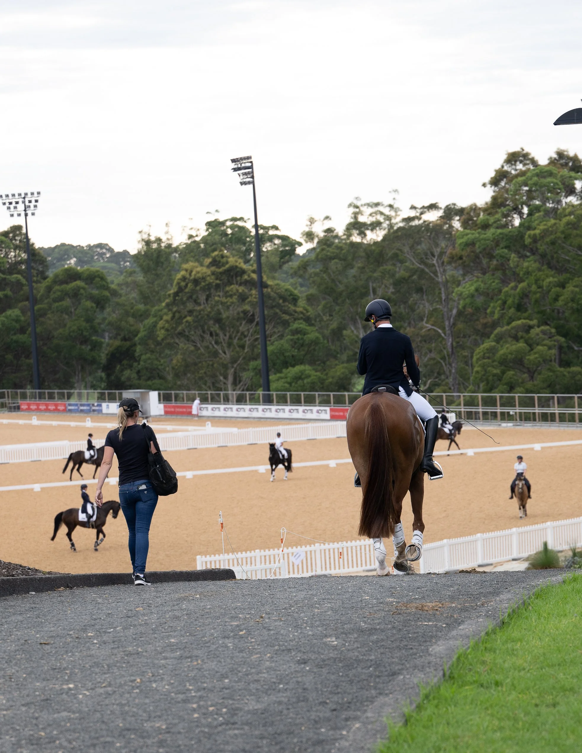 Hampton Park Equestrian: Campaigning