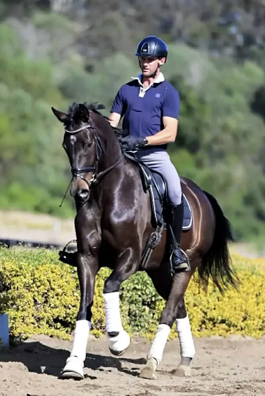 Hampton Park Equestrian, Qld: Training