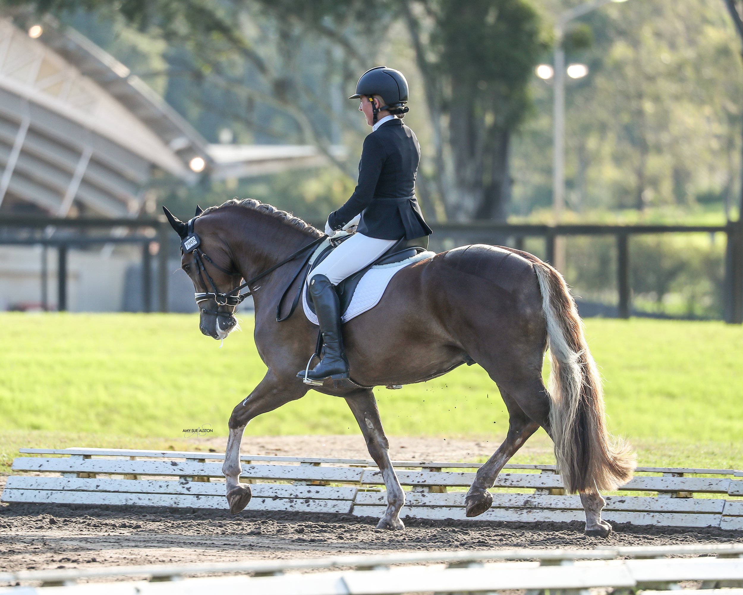 Hampton Park Equestrian, Harvey Besley & Tamicca Clottu