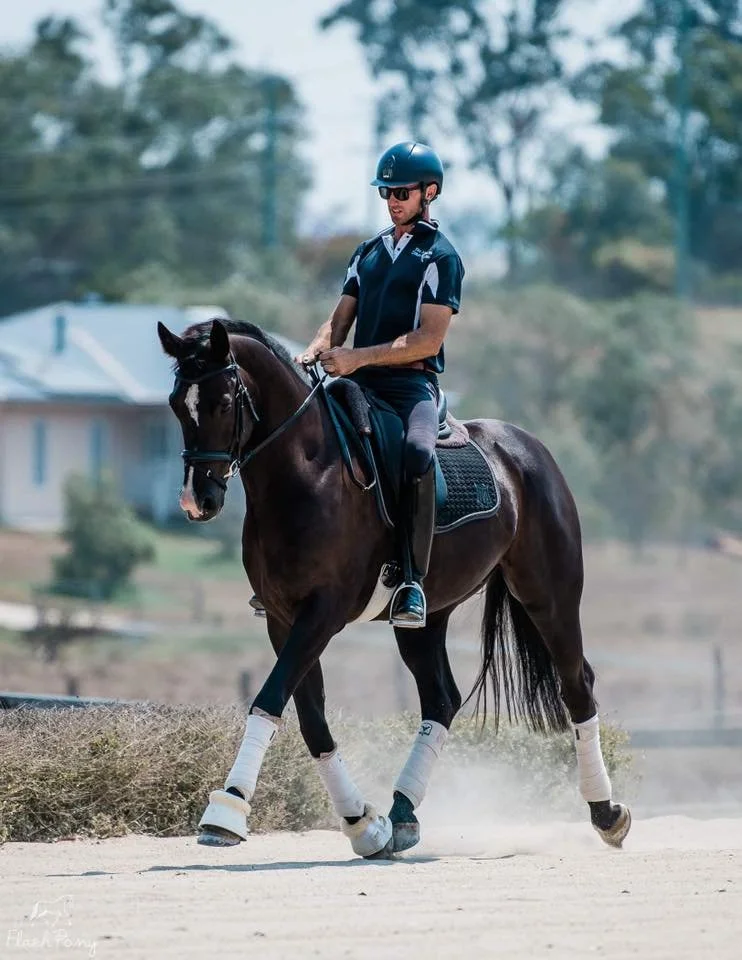Hampton Park Equestrian, Qld: Training