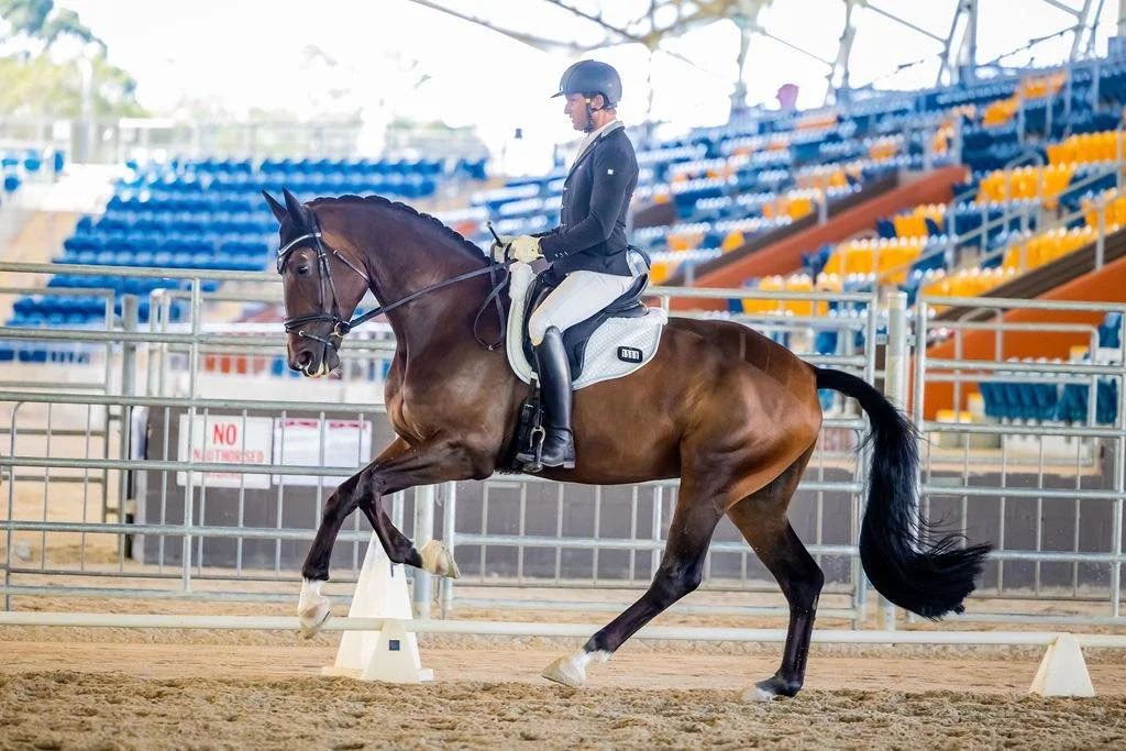 Hampton Park Equestrian, Harvey Besley & Tamicca Clottu