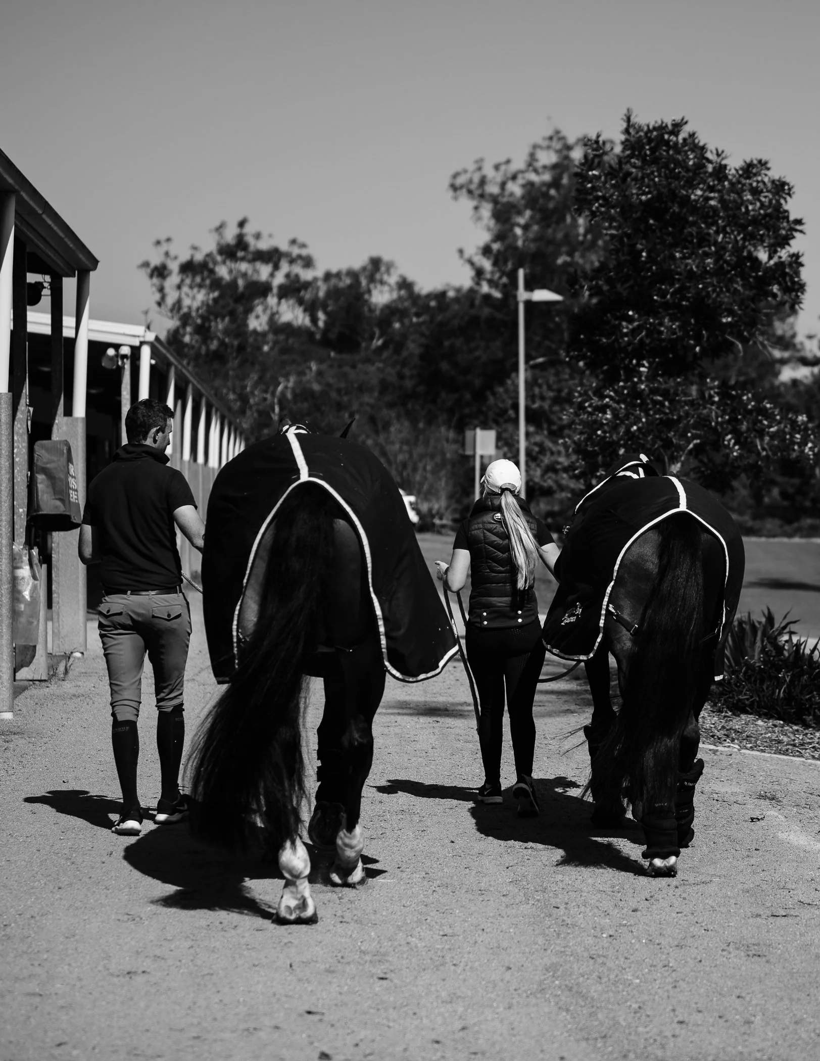 Hampton Park Equestrian: Campaigning