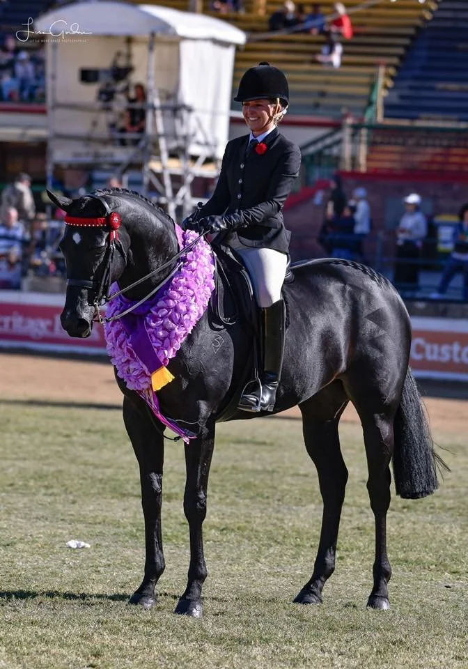Hampton Park Equestrian, Harvey Besley & Tamicca Clottu