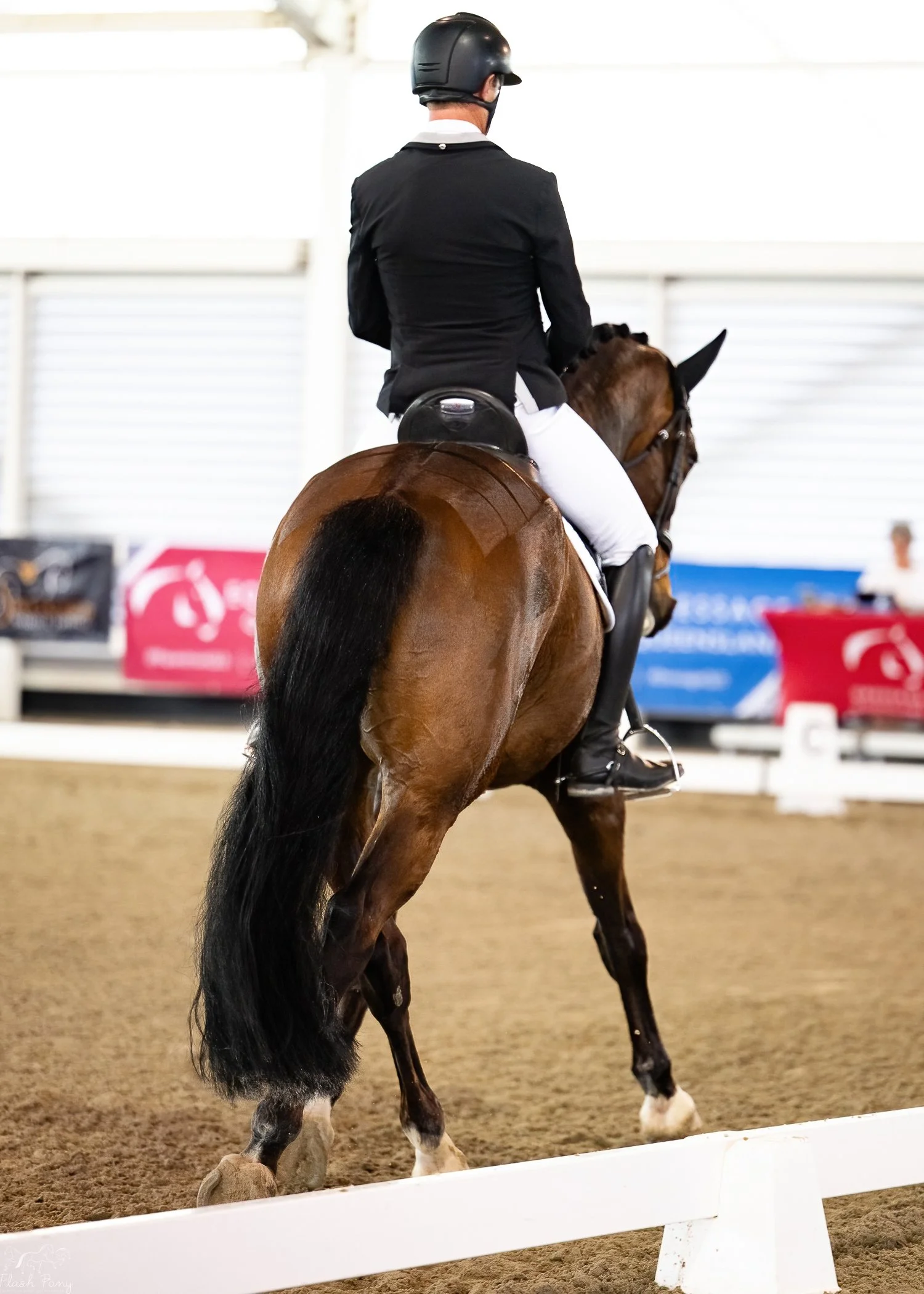 Hampton Park Equestrian, Harvey Besley & Tamicca Clottu