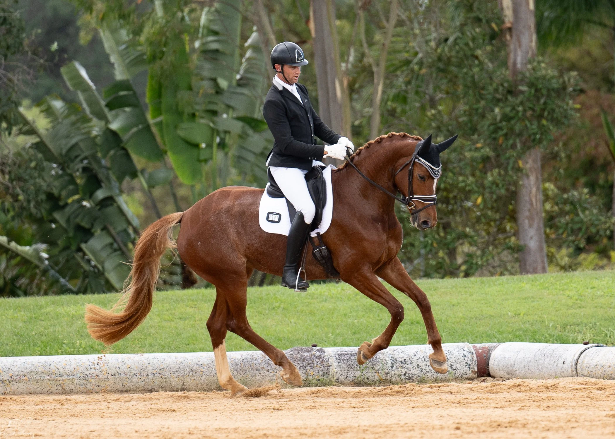 Hampton Park Equestrian, Harvey Besley & Tamicca Clottu