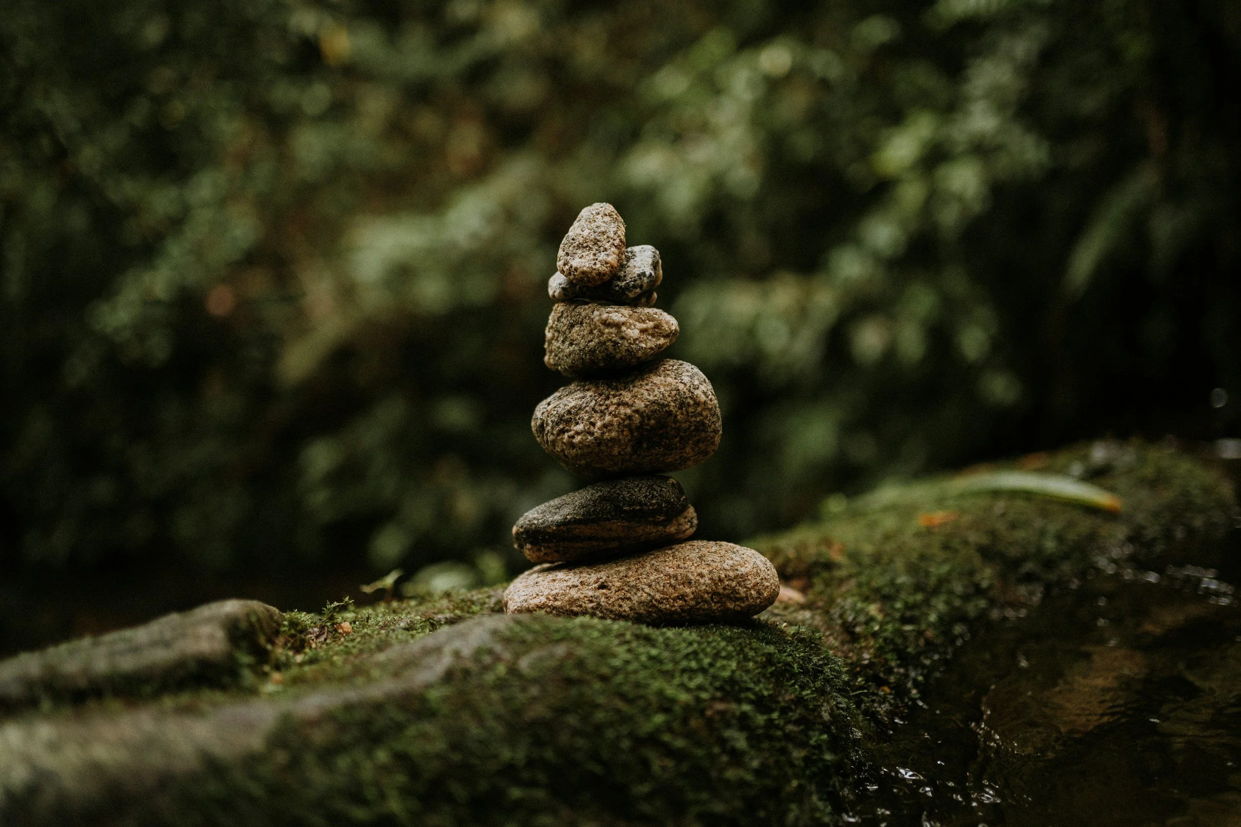 Stack of seven rocks on a moss-covered log in a forest setting.