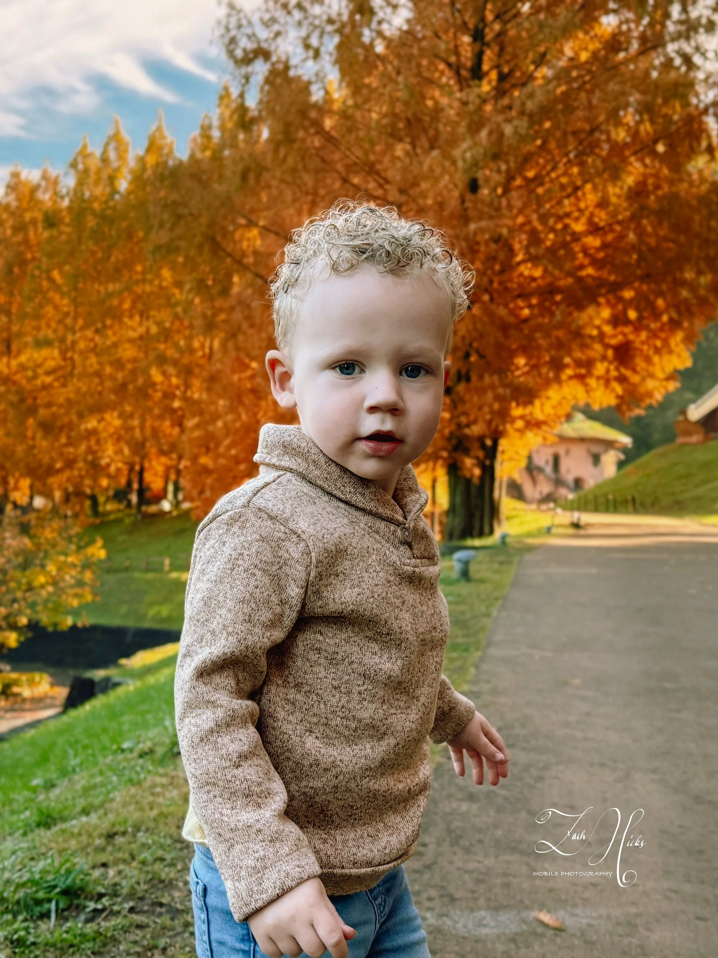 A young boy with curly blonde hair and blue eyes standing outdoors on a park path during fall, with orange trees and a house in the background.