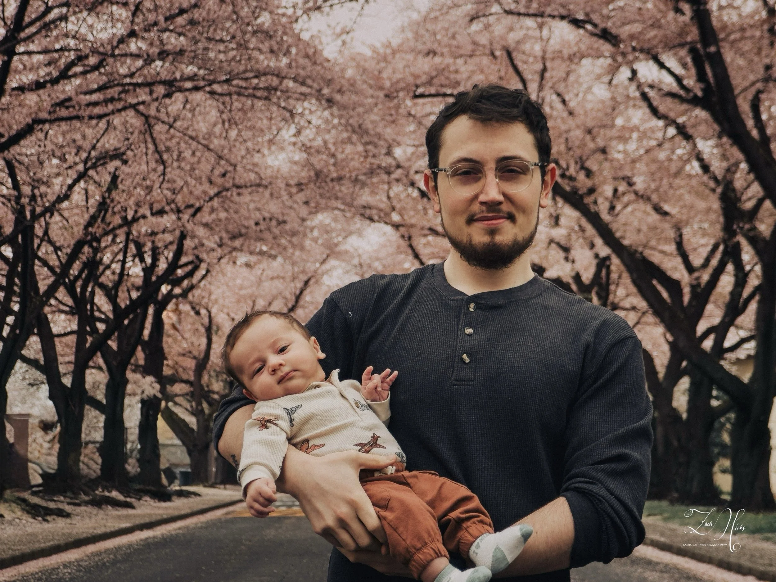 A man holding a baby on a street lined with pink flowering cherry blossom trees.