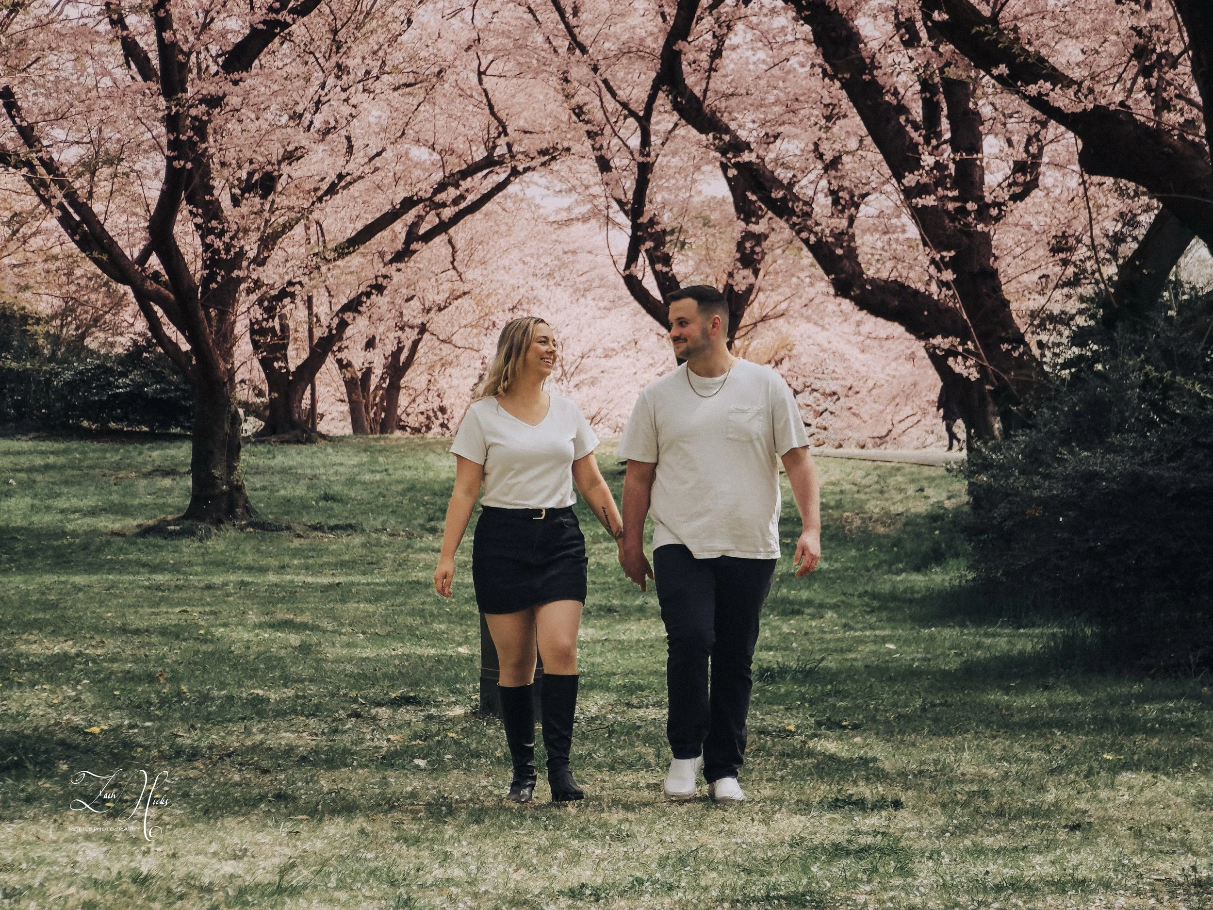 A young couple walking hand-in-hand outdoors during springtime, surrounded by cherry blossom trees in full bloom.