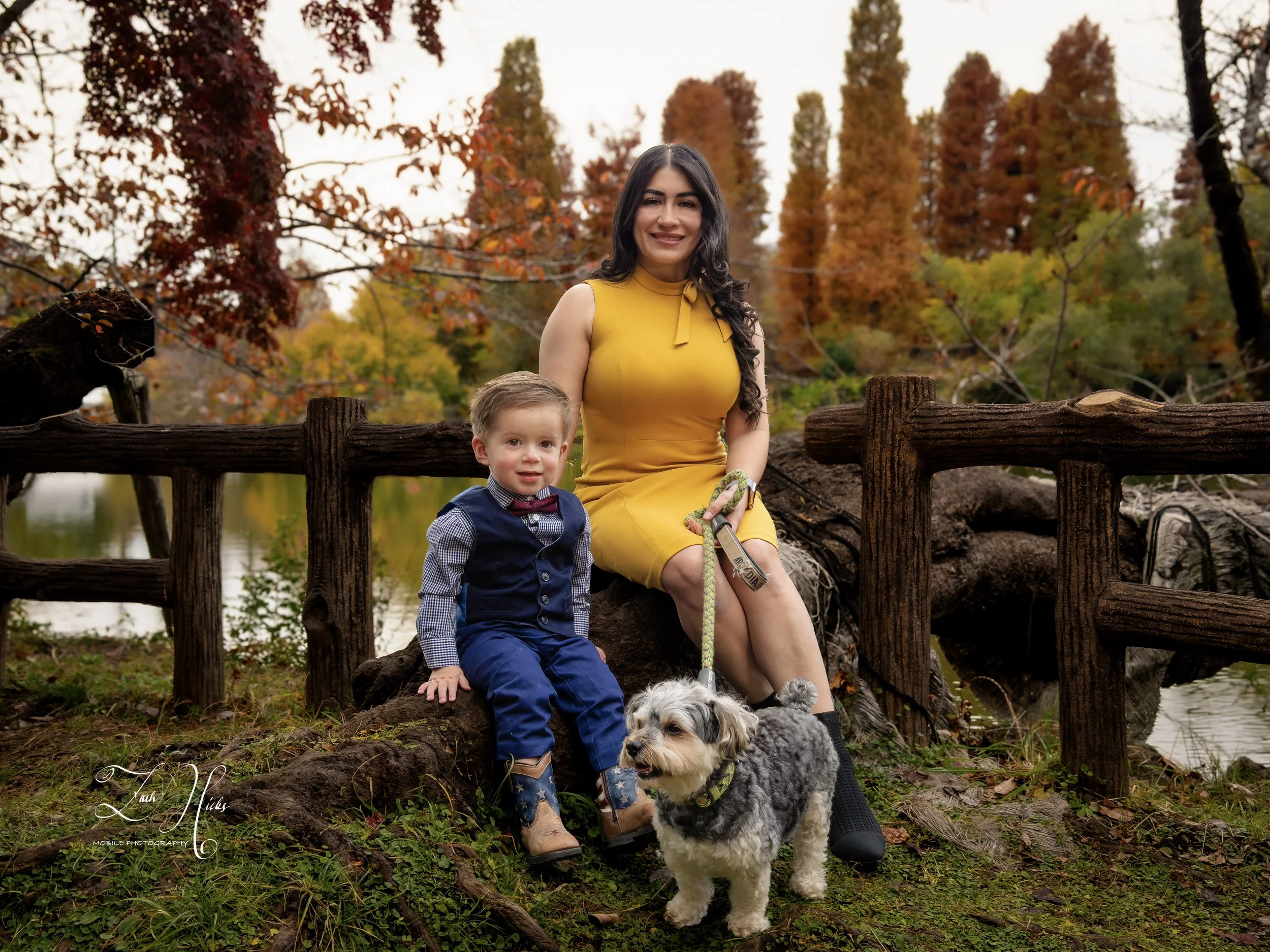 A woman in a yellow dress, a young boy in a blue vest and bow tie, and a small gray dog sitting on a fallen tree trunk near a park with autumn foliage and a water body in the background.